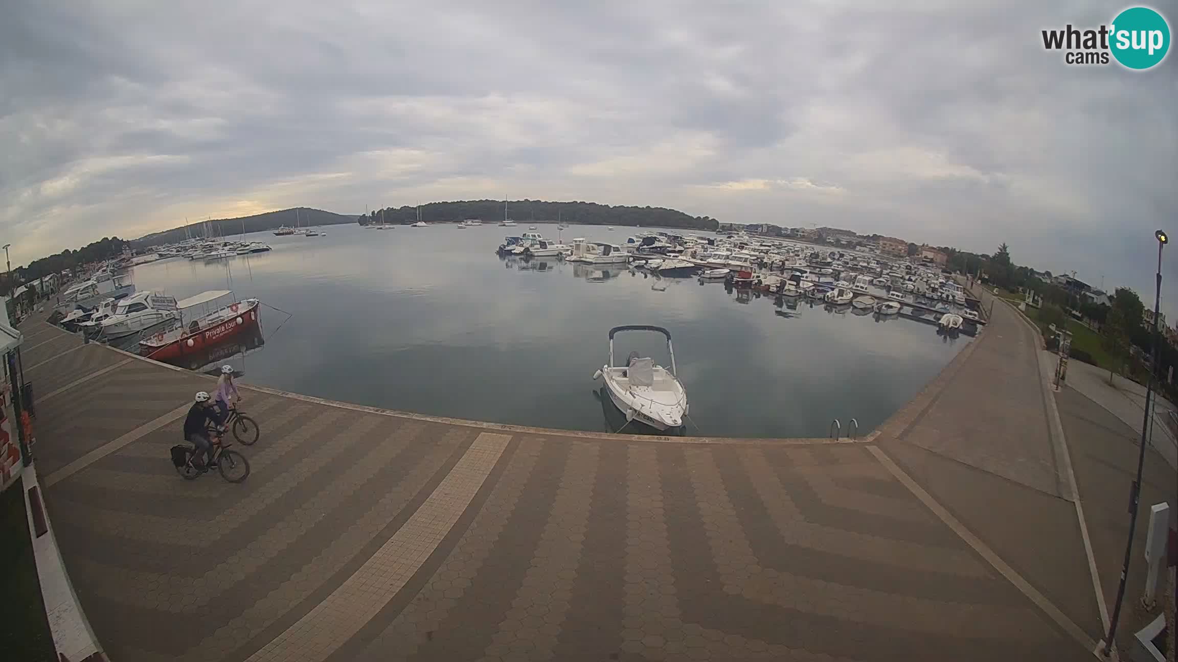 Livecam Medulin marina
