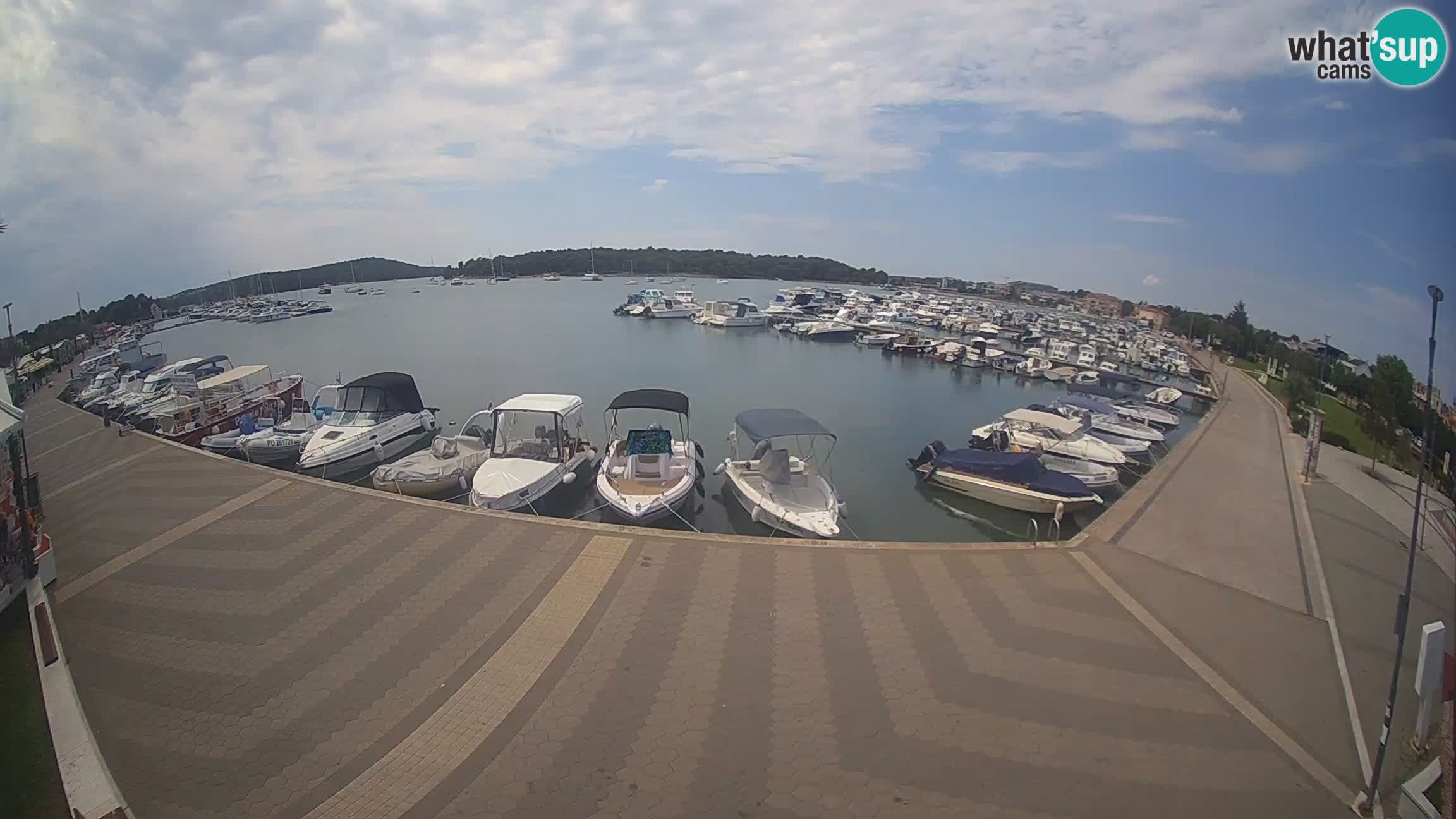 Camera en vivo Medulin marina