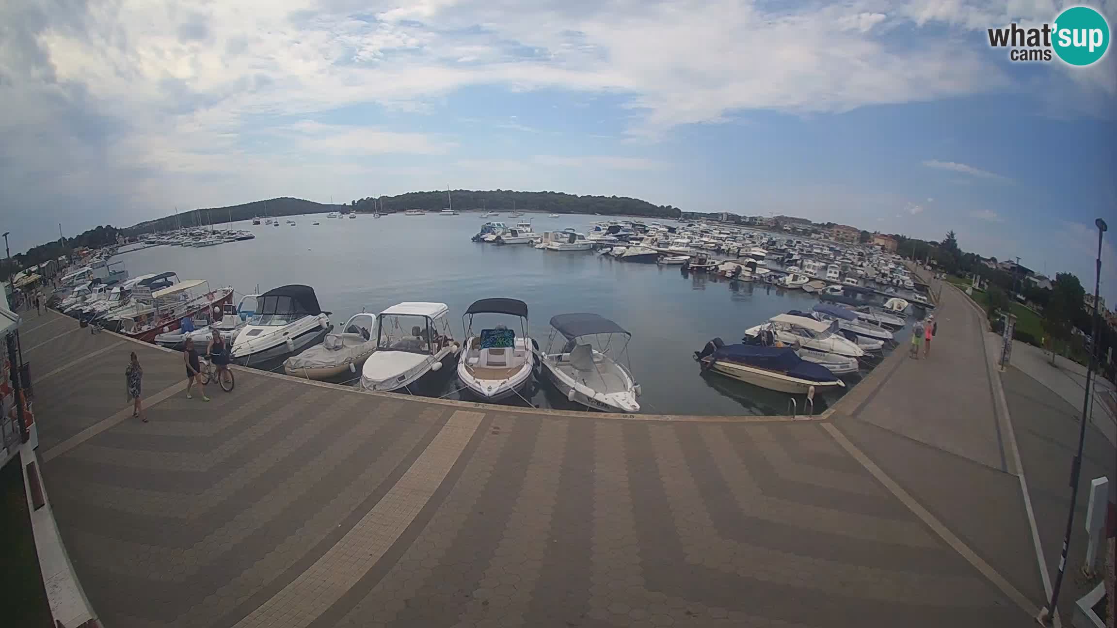 Livecam Medulin marina