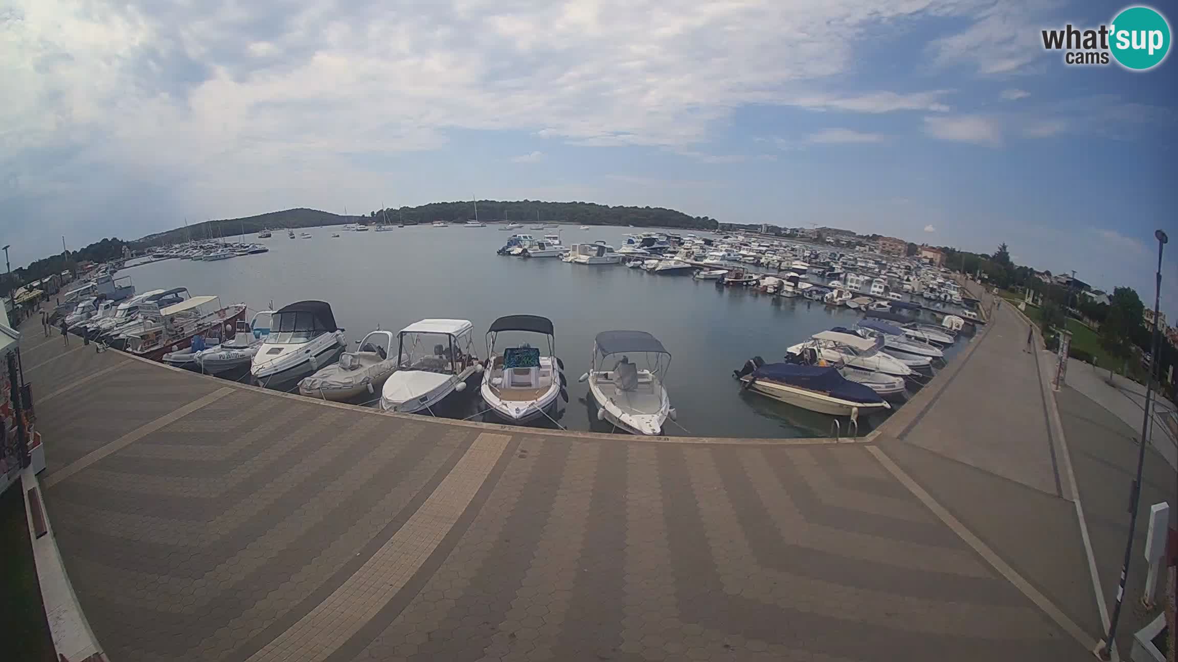 Camera en vivo Medulin marina