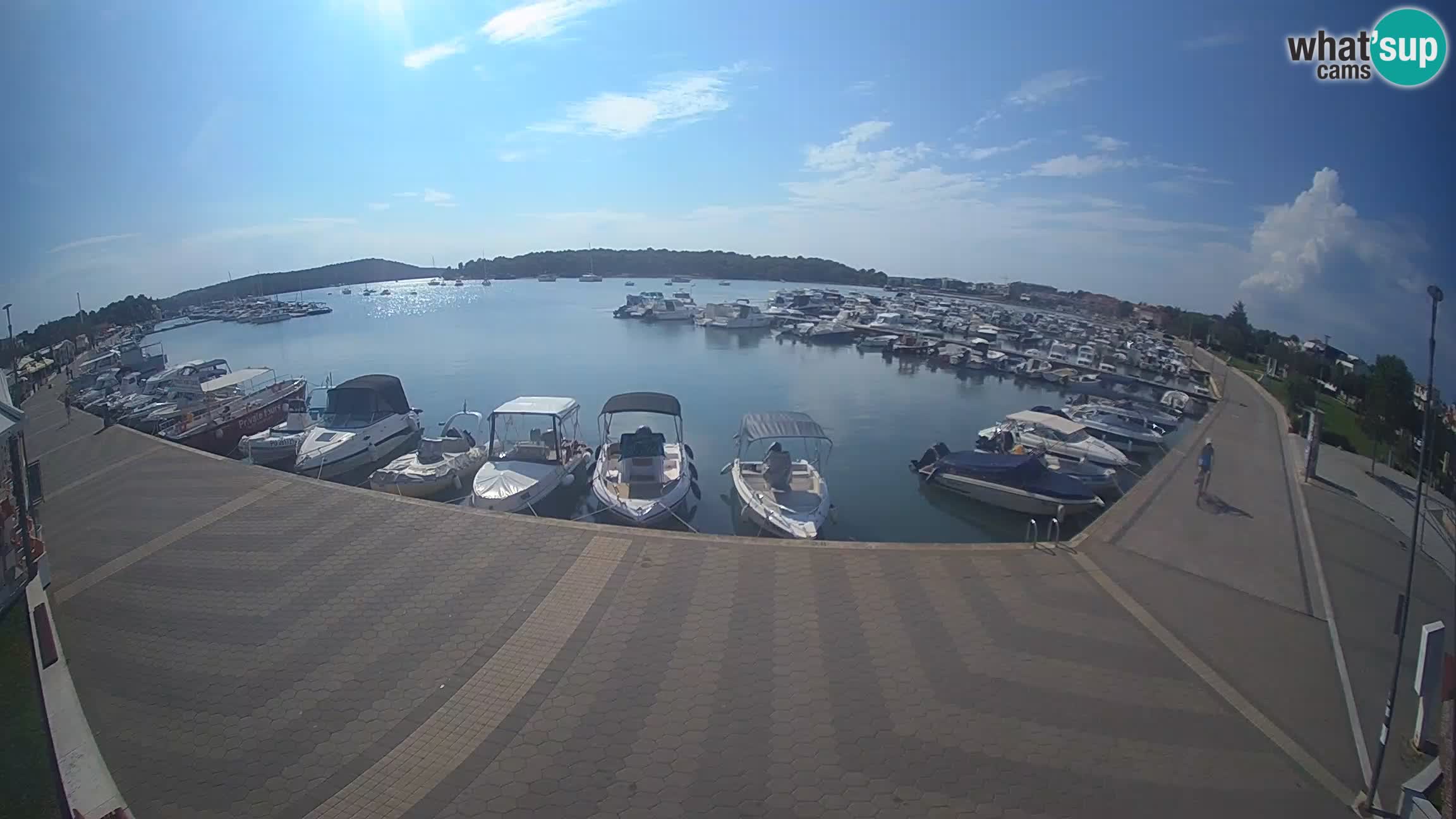 Camera en vivo Medulin marina