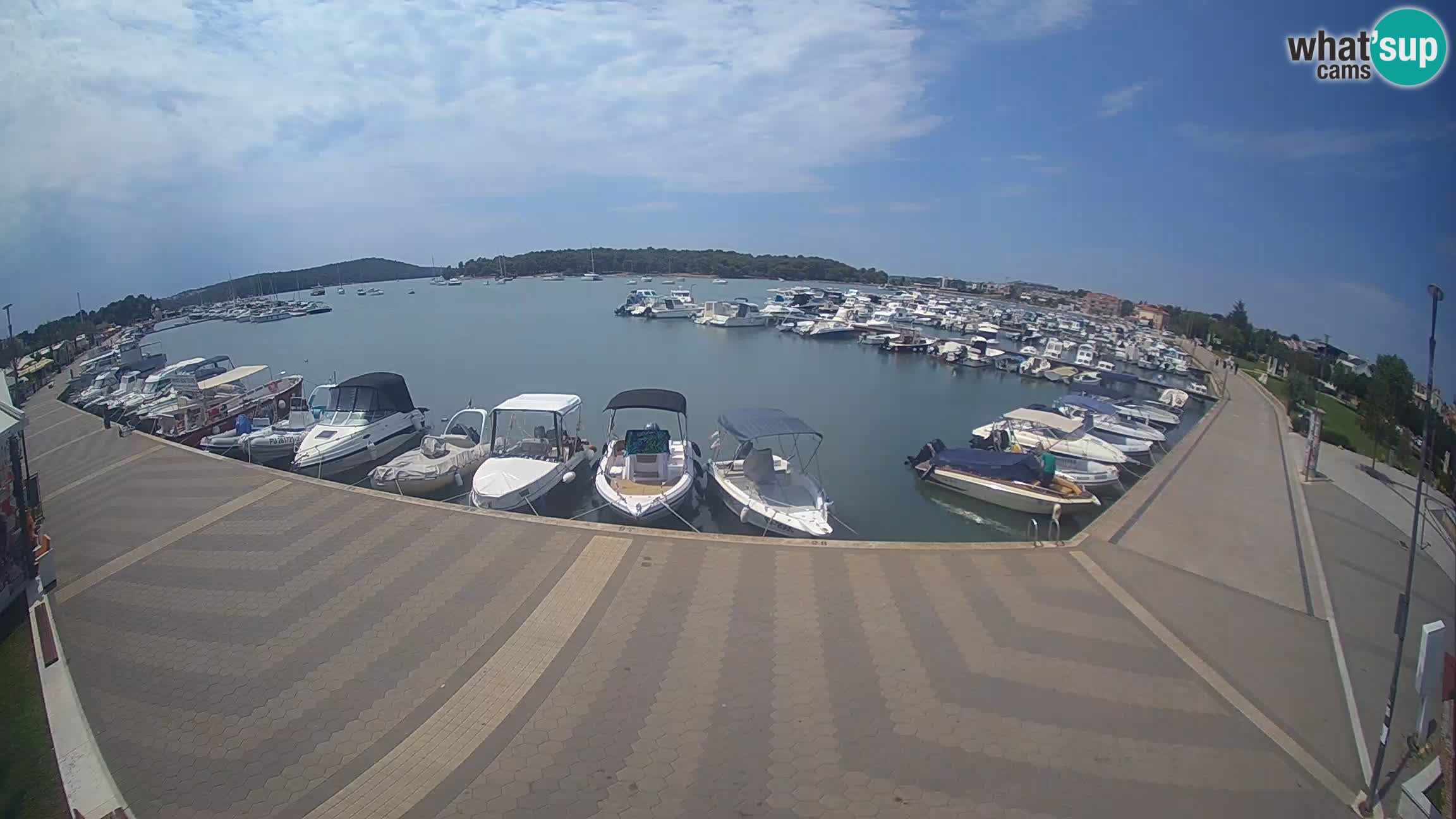 Camera en vivo Medulin marina