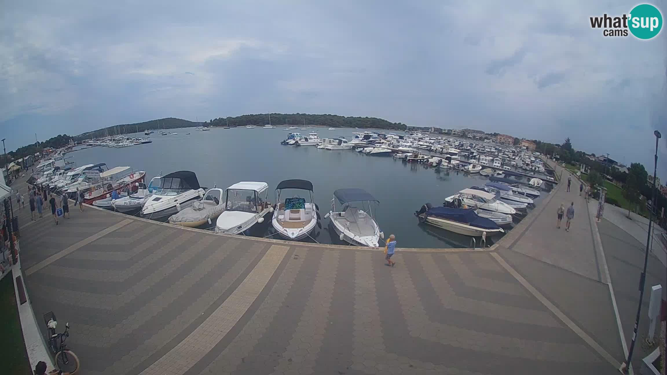Camera en vivo Medulin marina