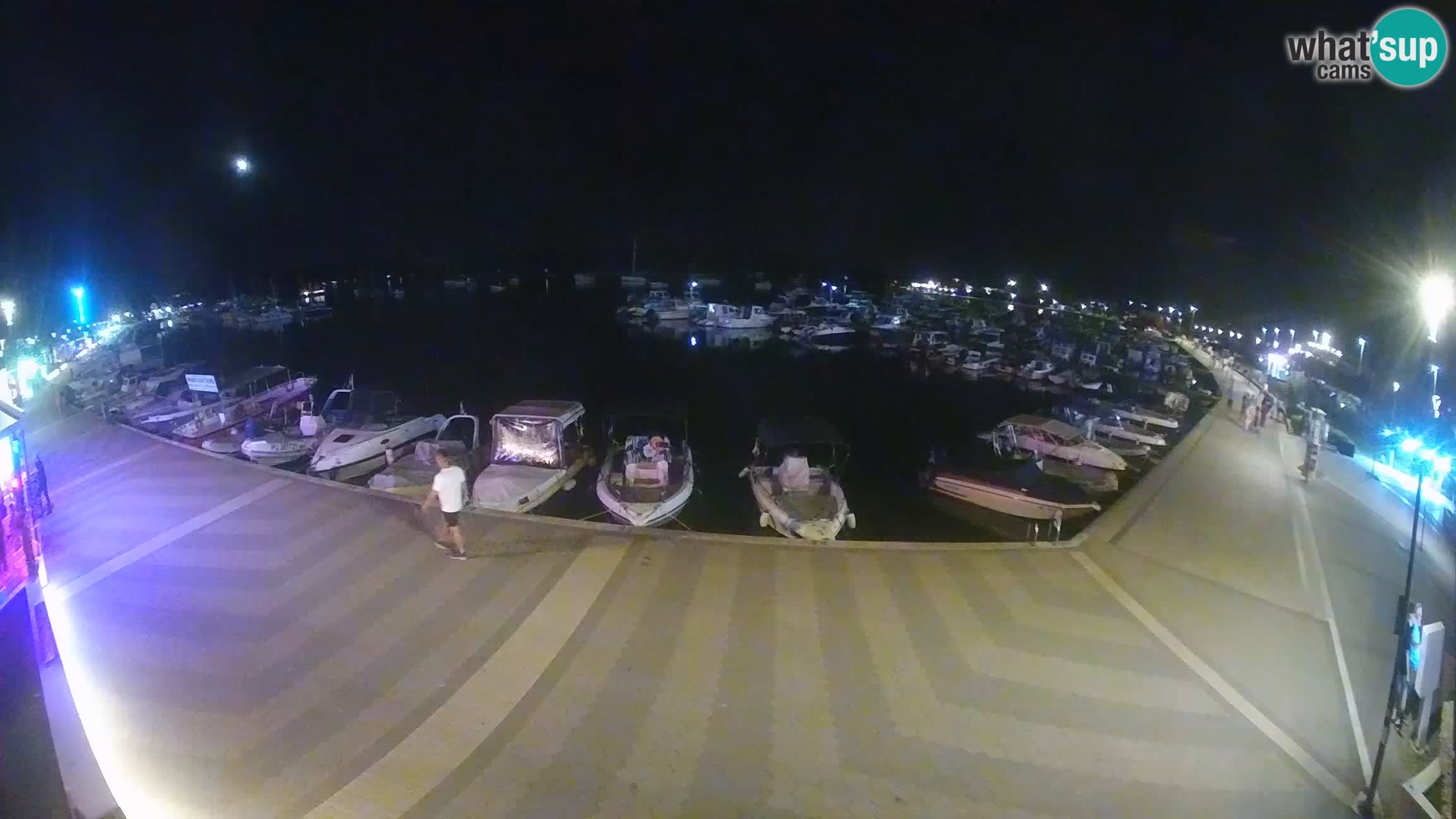 Camera en vivo Medulin marina