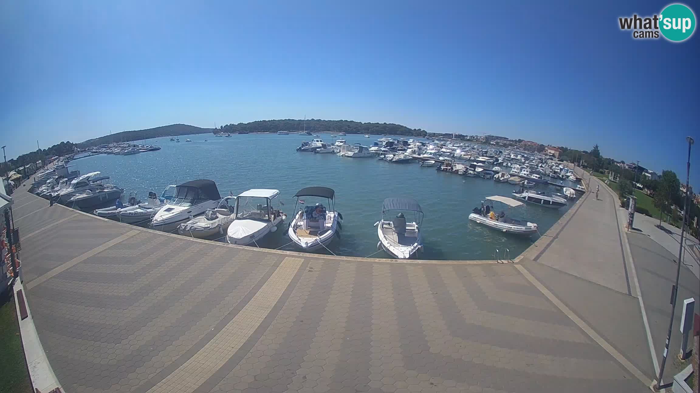 Livecam Medulin marina