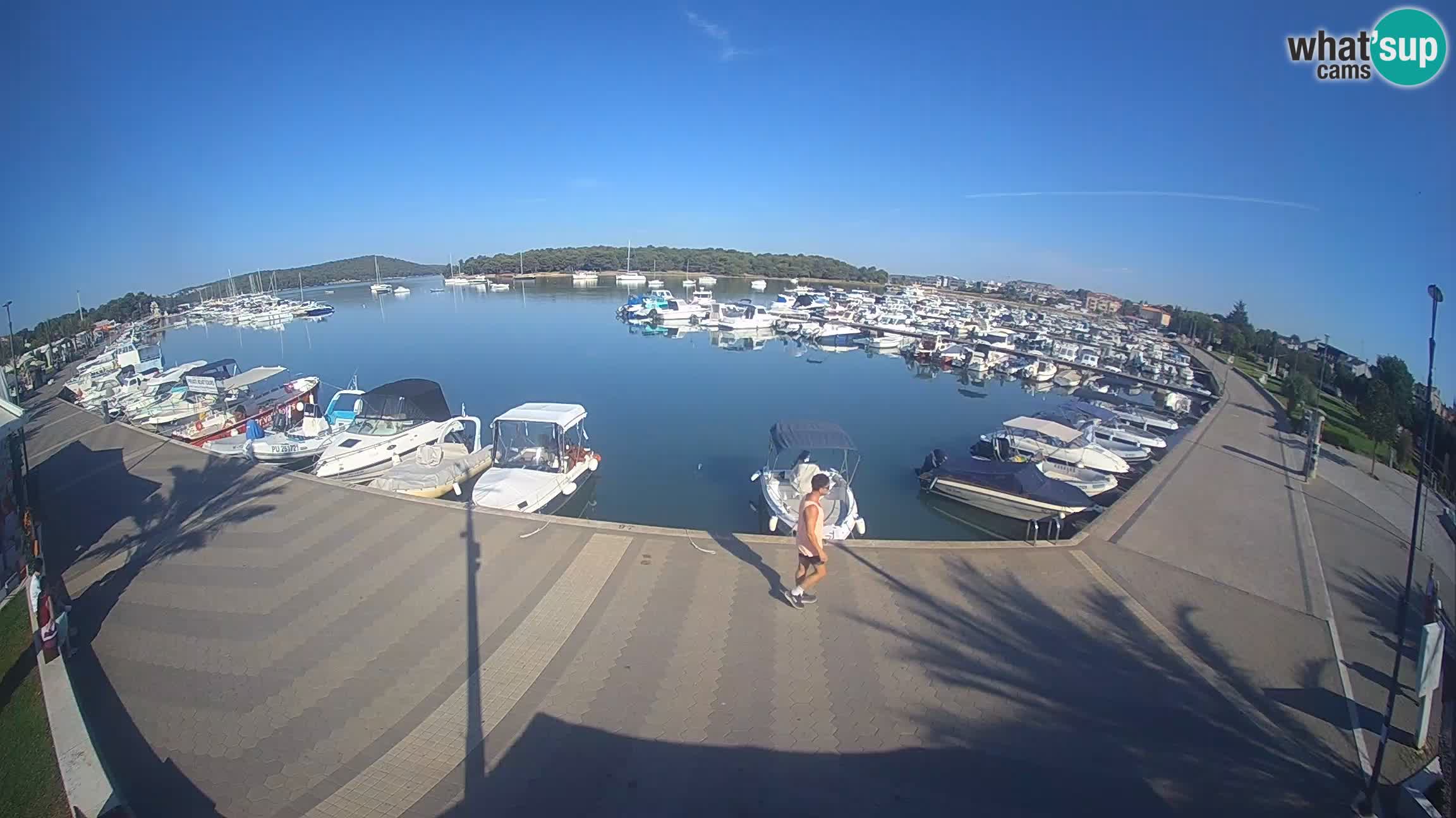 Livecam Medulin marina