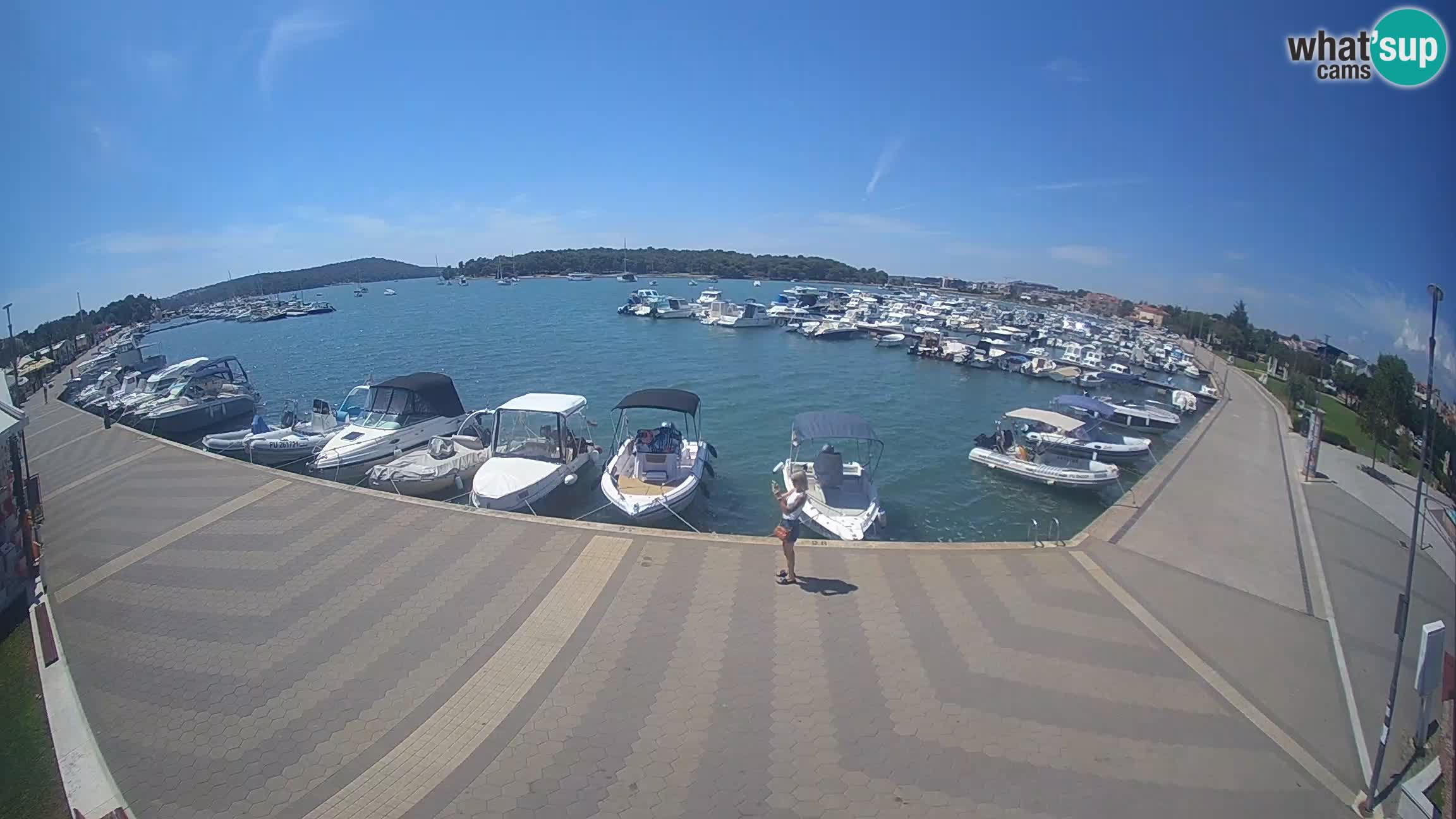 LIVE webcam Medulin marina