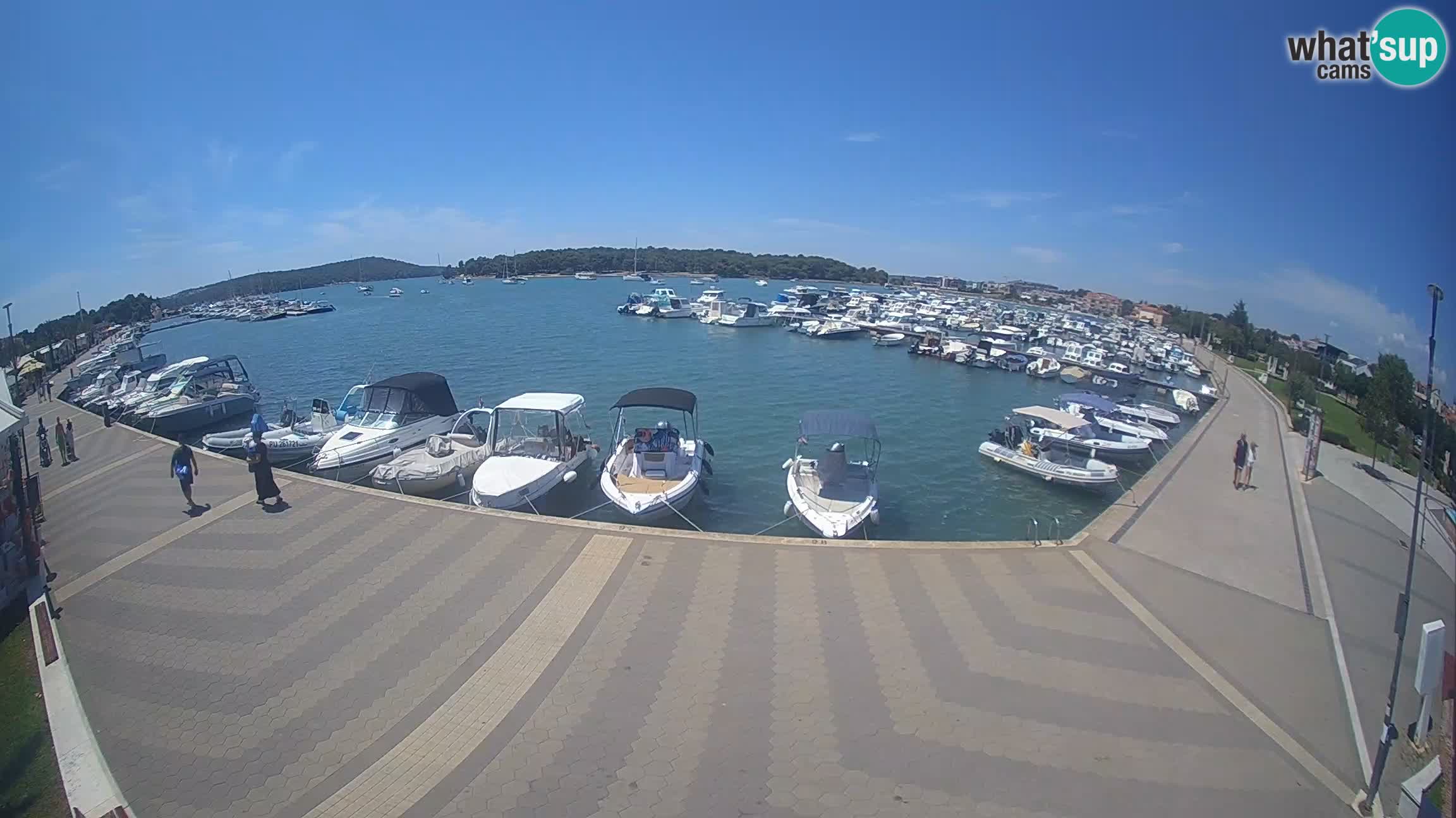 Livecam Medulin marina