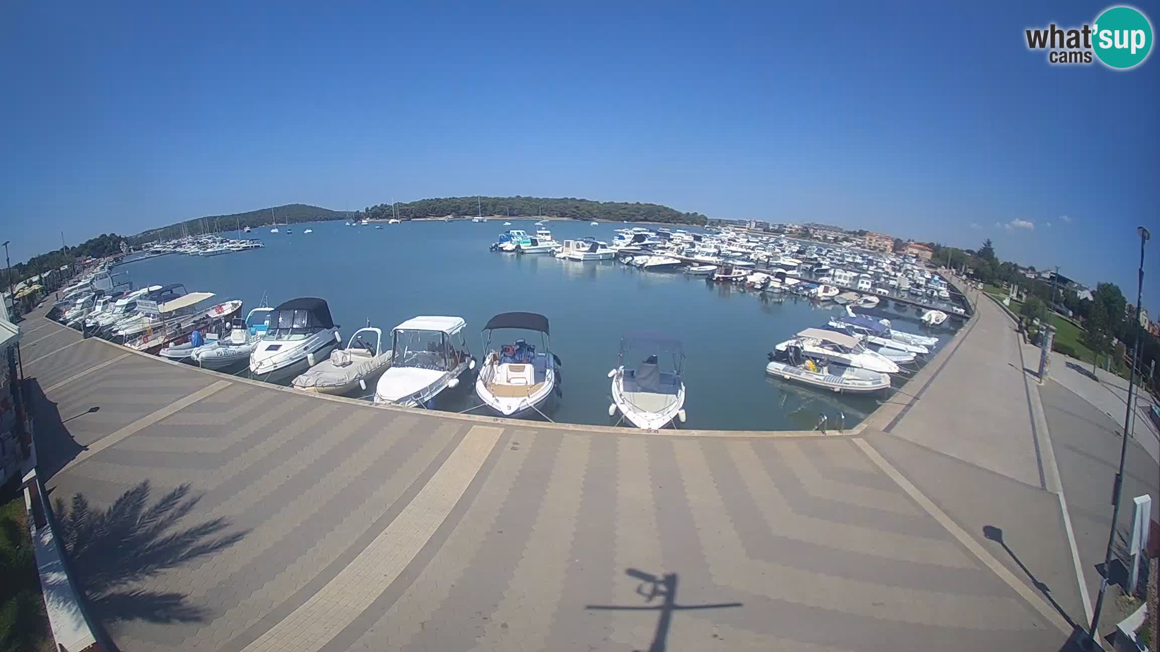 Livecam Medulin marina