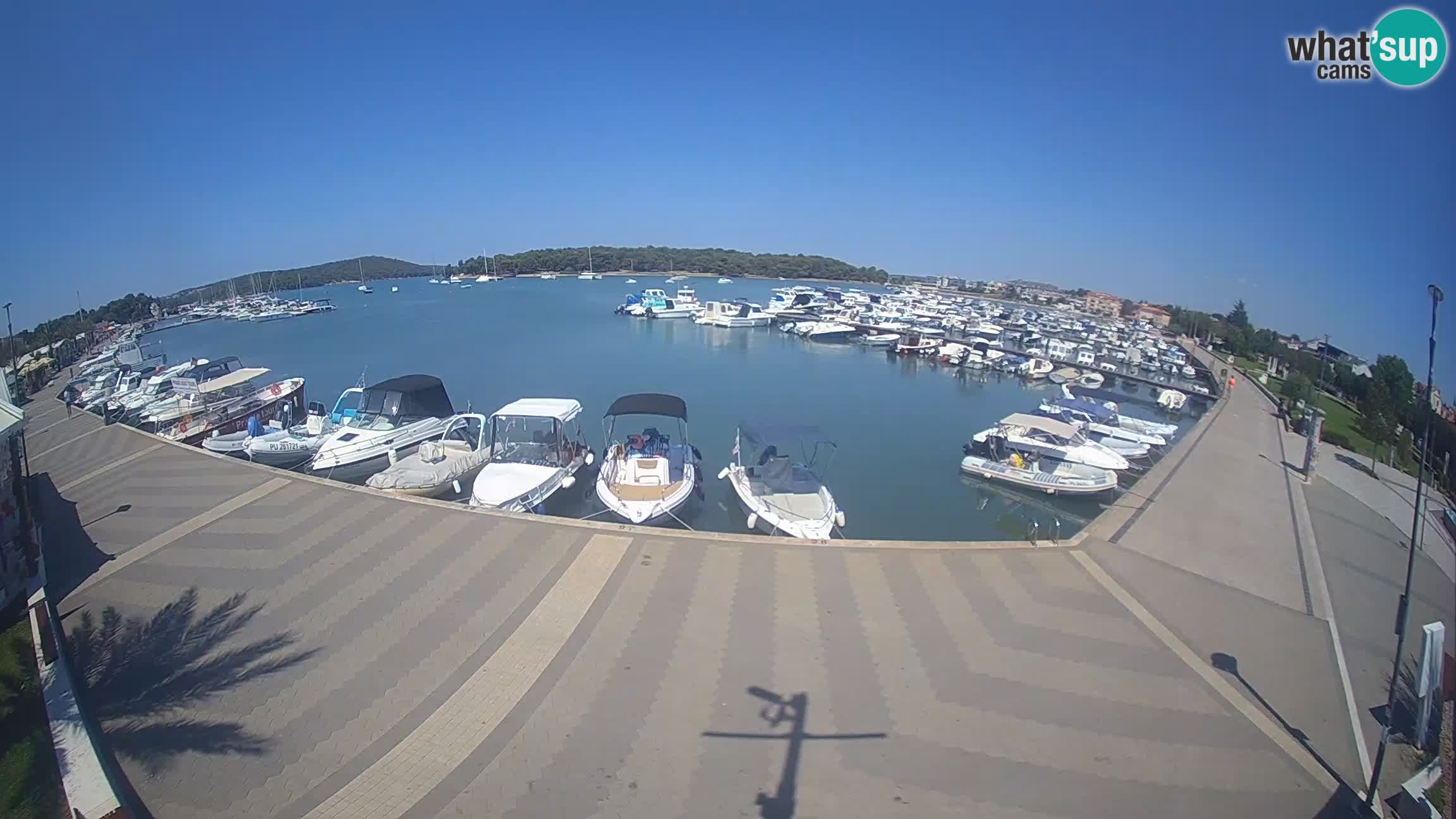 LIVE webcam Medulin marina