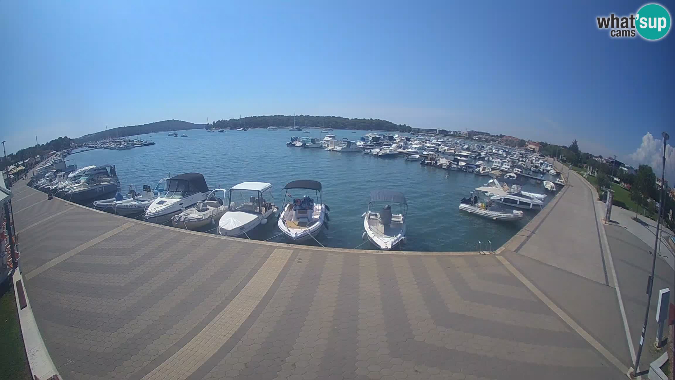 Livecam Medulin marina