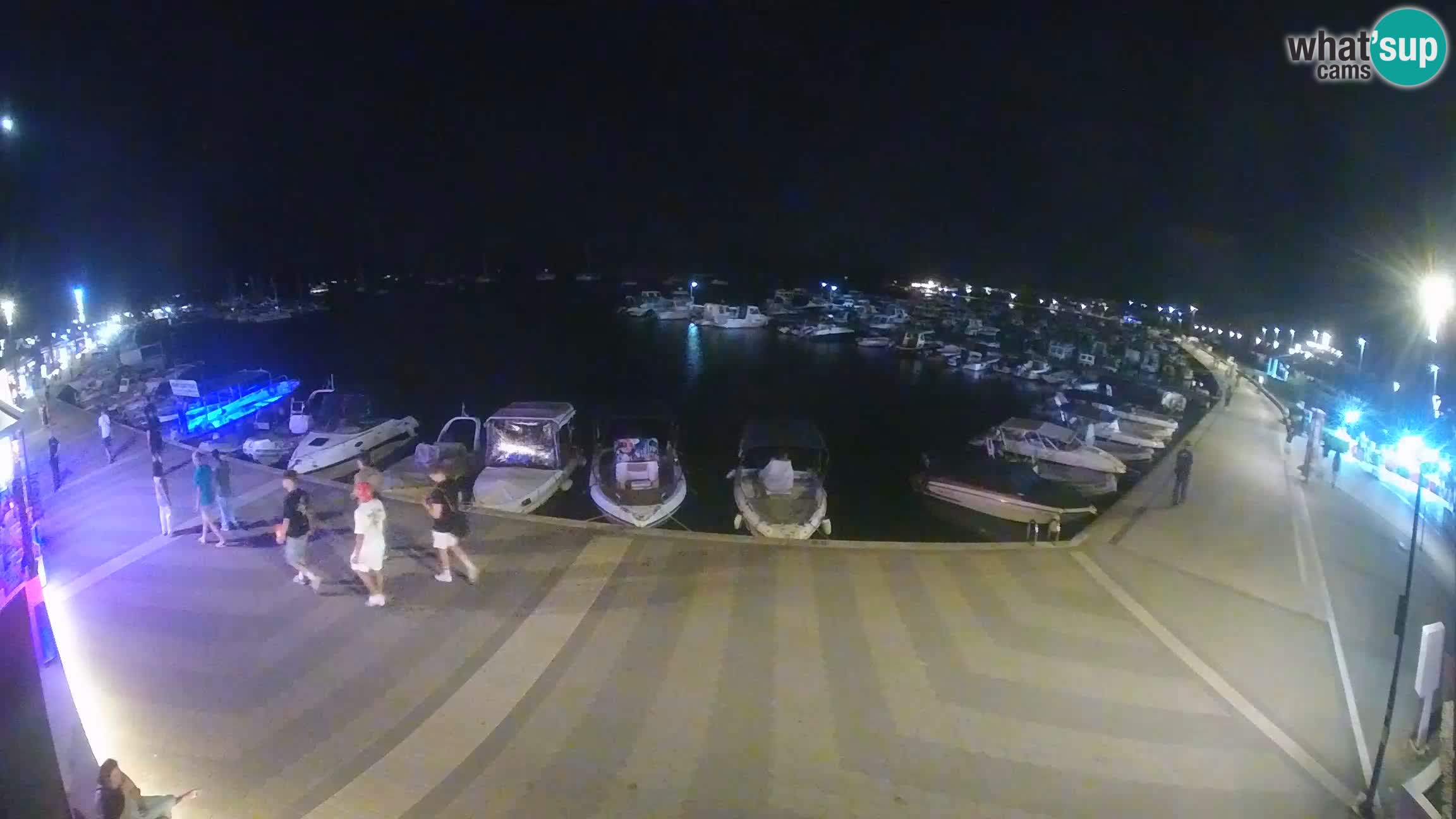 Camera en vivo Medulin marina