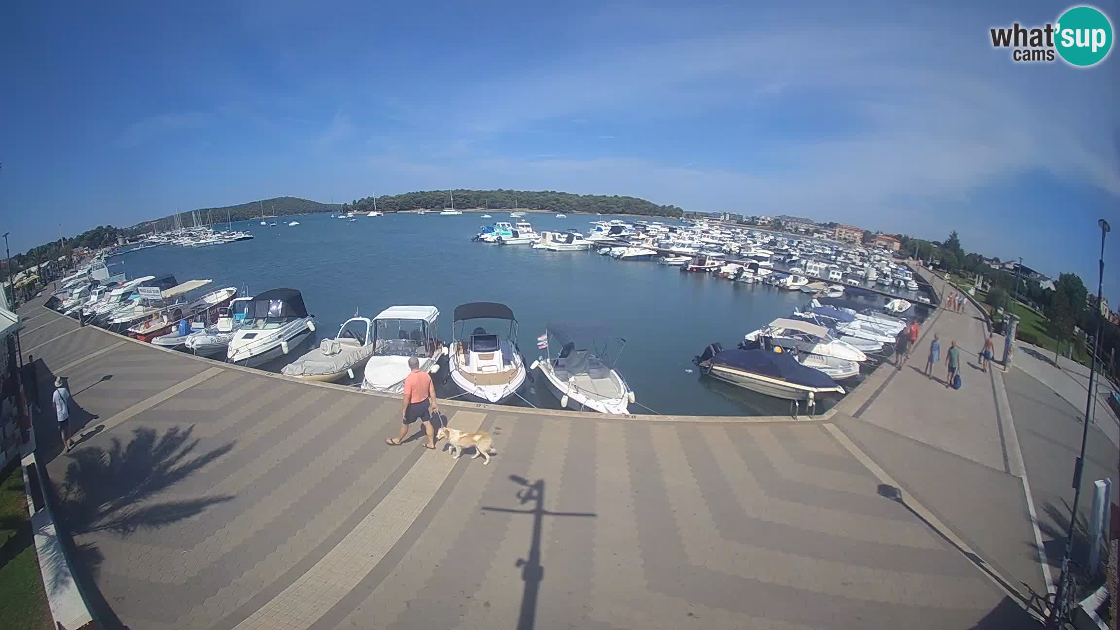 Camera en vivo Medulin marina