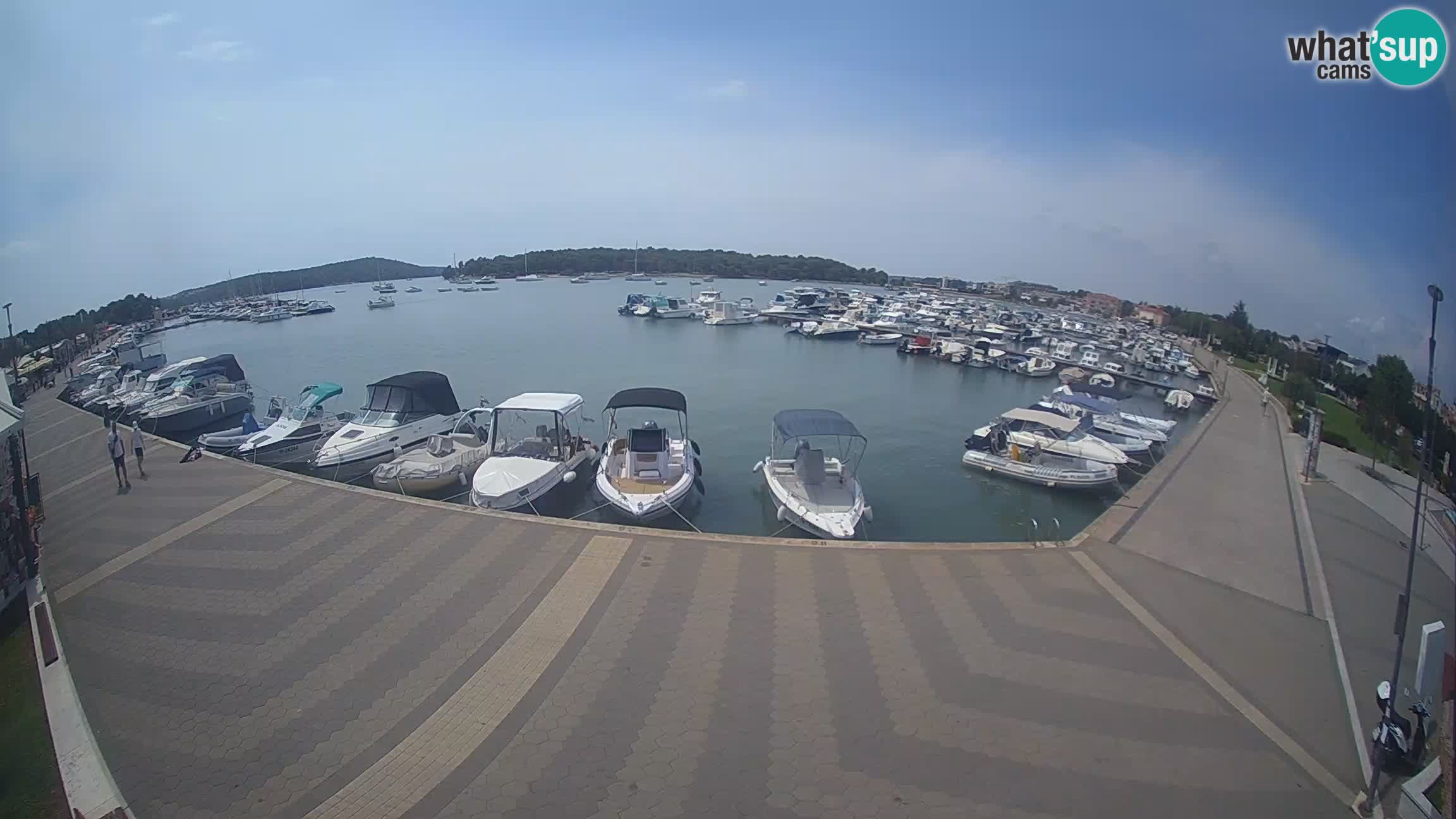 Livecam Medulin marina