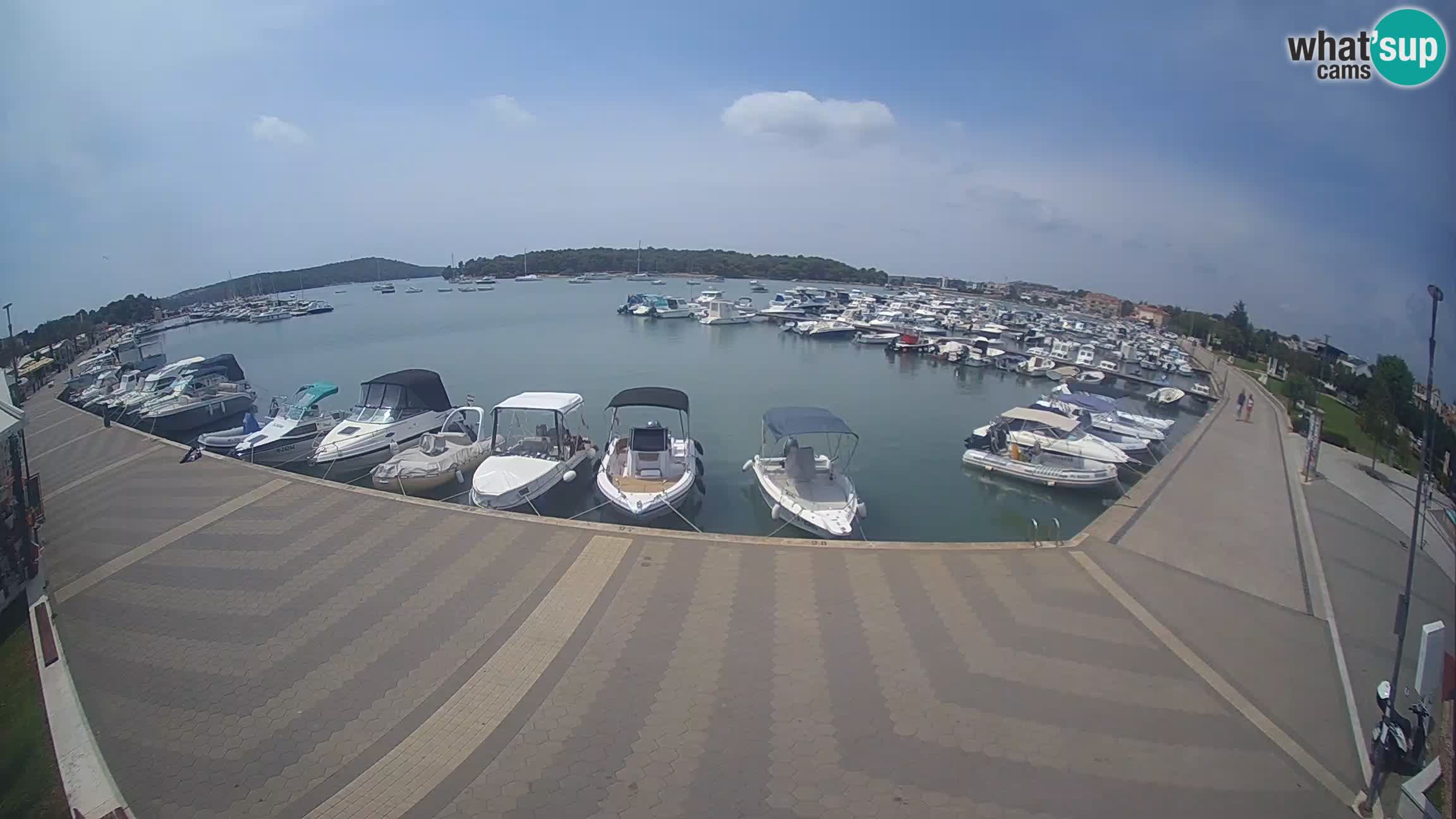 Camera en vivo Medulin marina