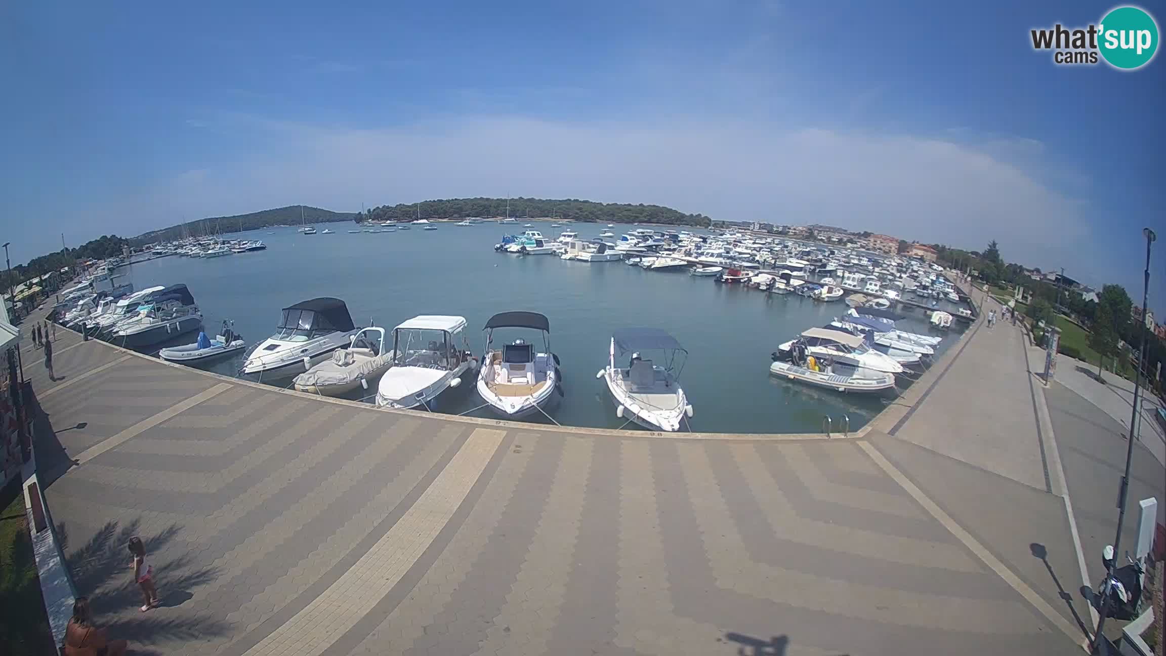 Livecam Medulin marina