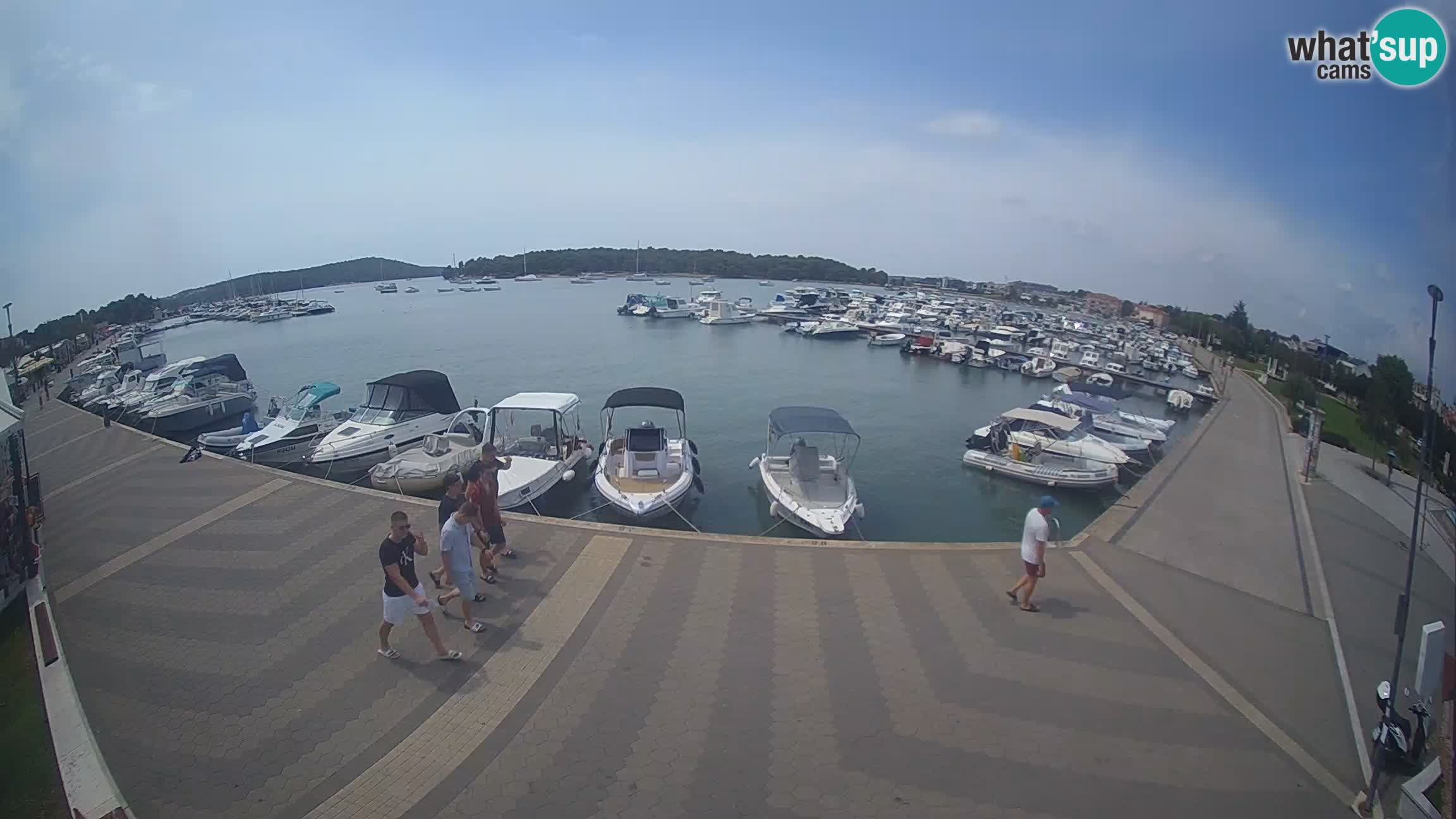 Camera en vivo Medulin marina