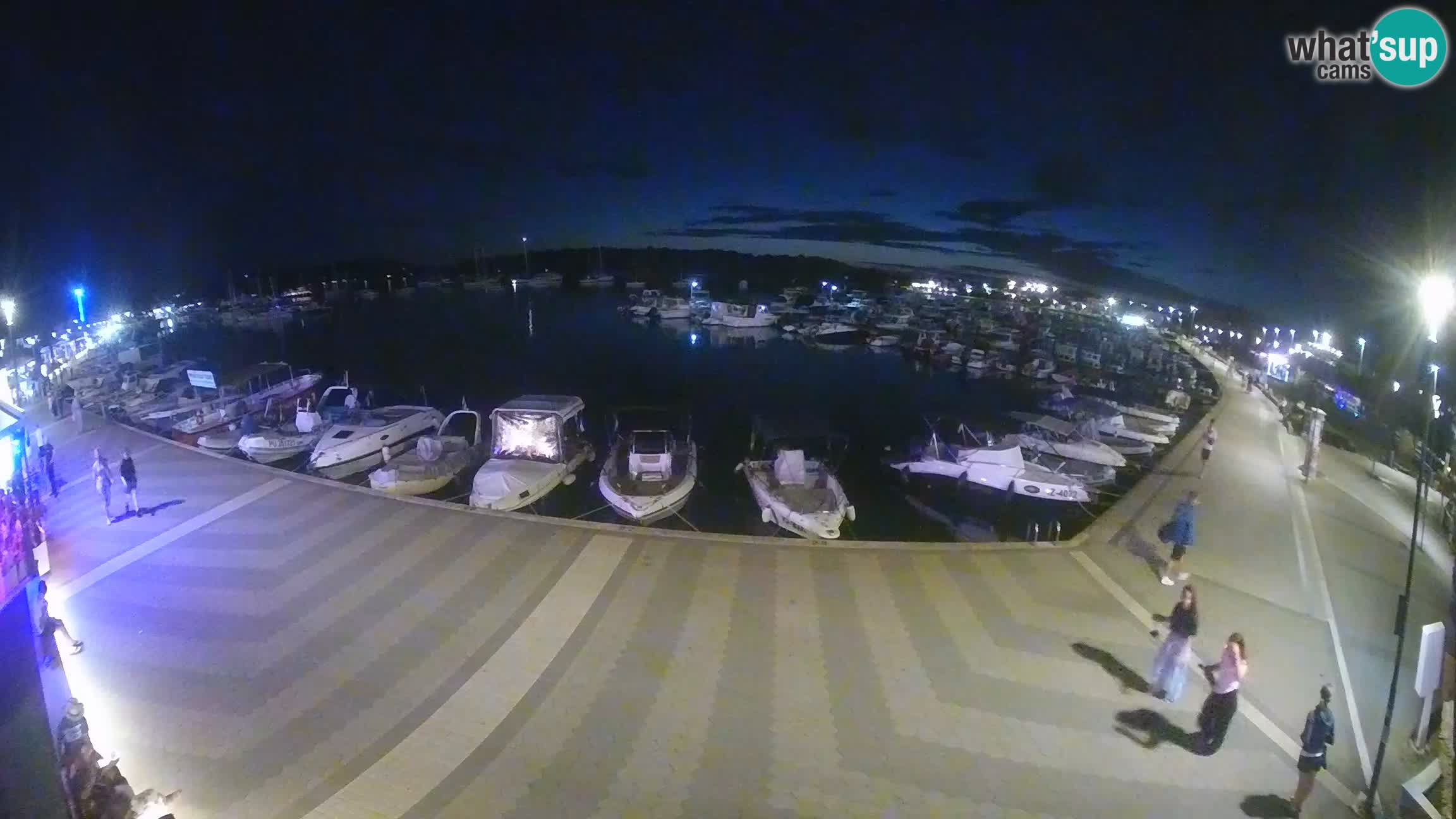 Camera en vivo Medulin marina