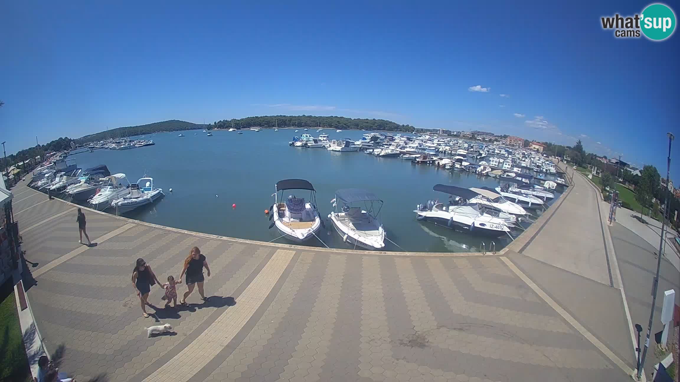 Camera en vivo Medulin marina
