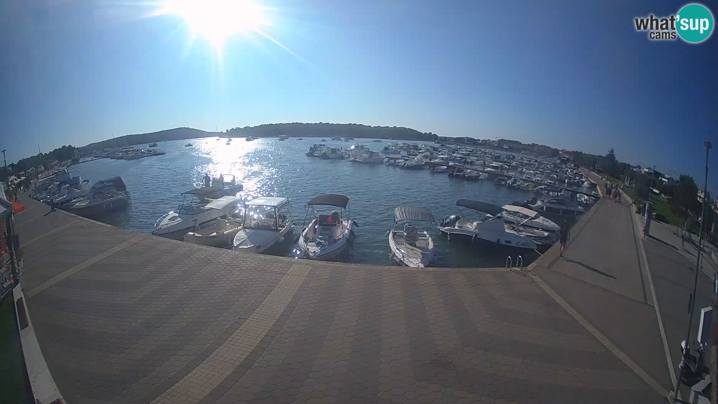 Camera en vivo Medulin marina