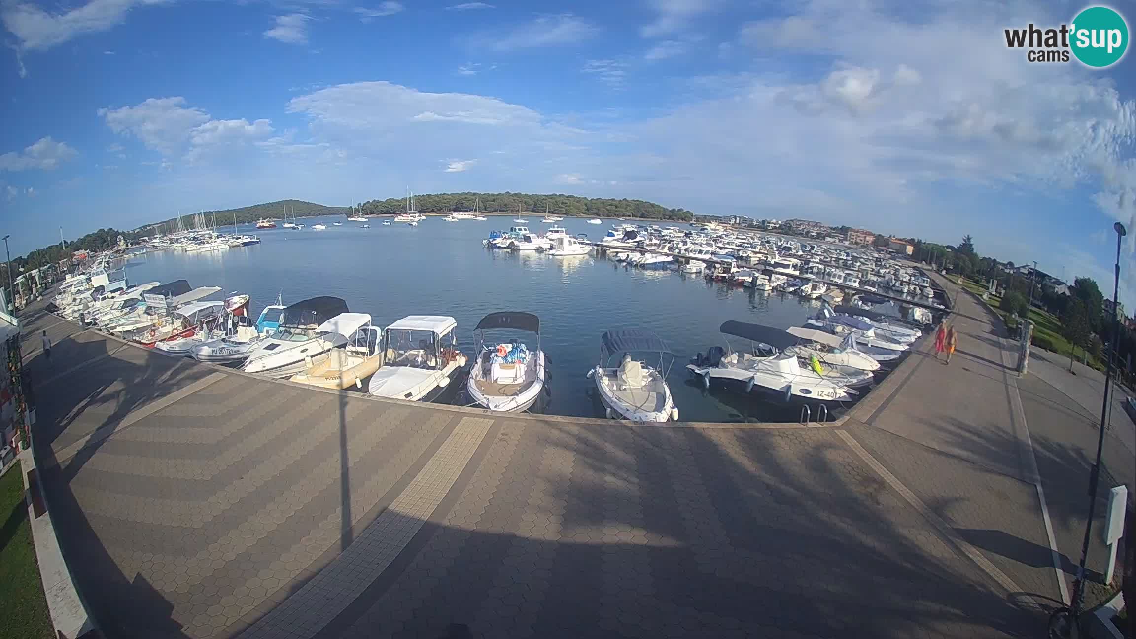 Camera en vivo Medulin marina