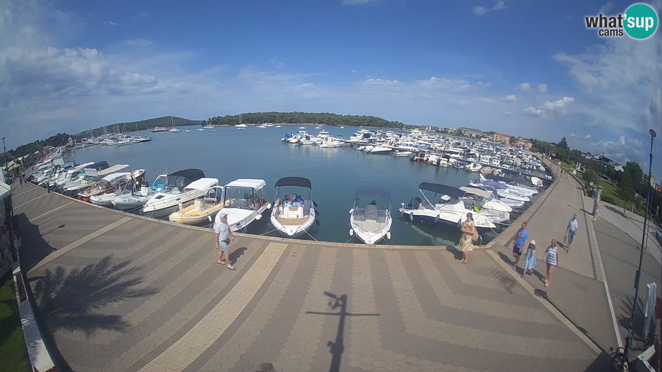 Camera en vivo Medulin marina