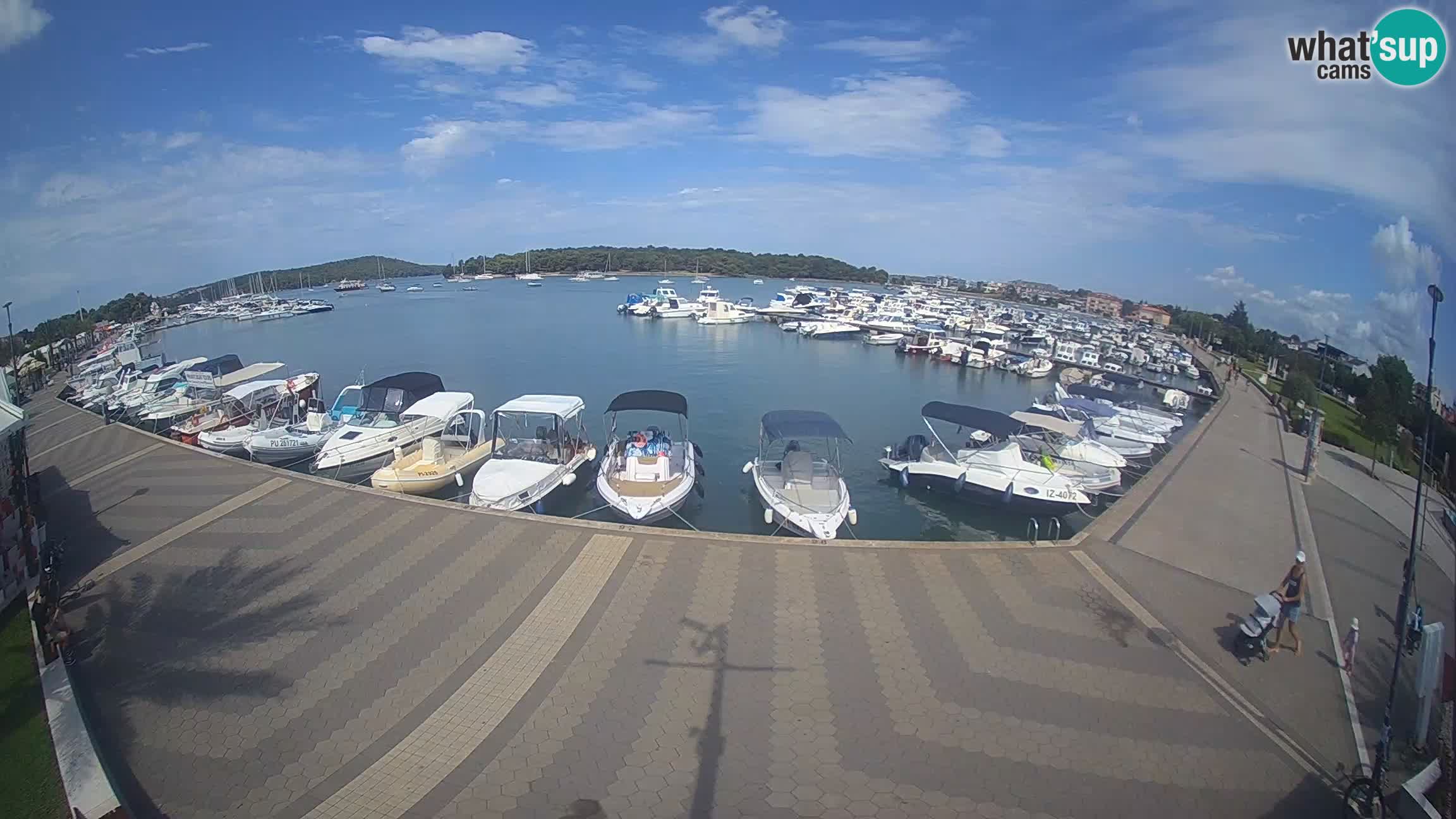 Livecam Medulin marina