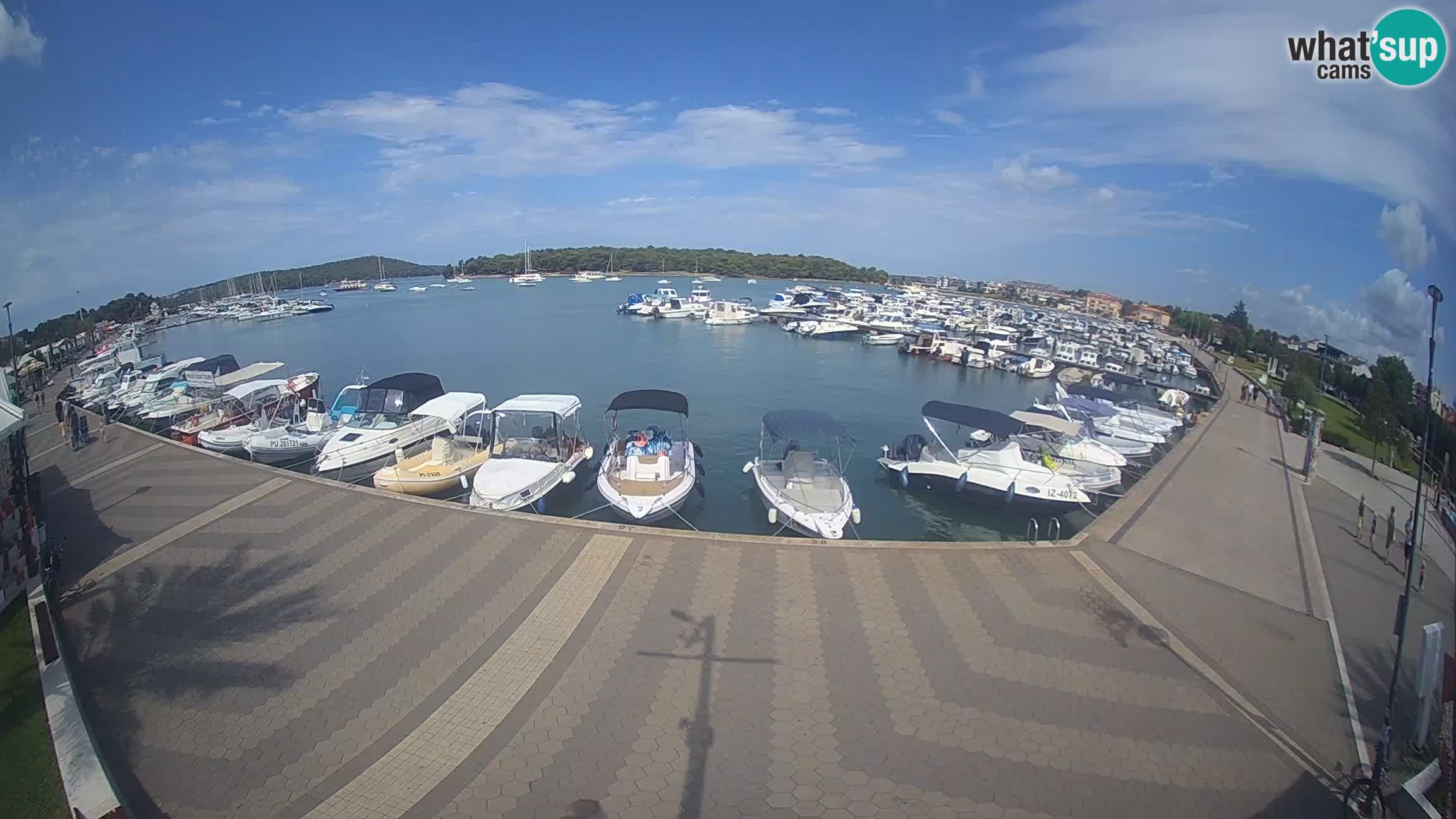 Livecam Medulin marina