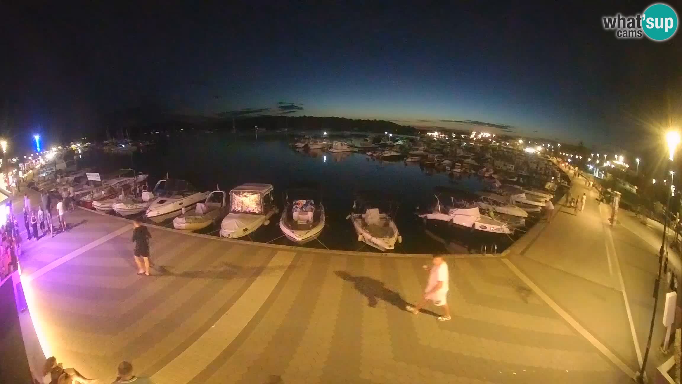 Camera en vivo Medulin marina