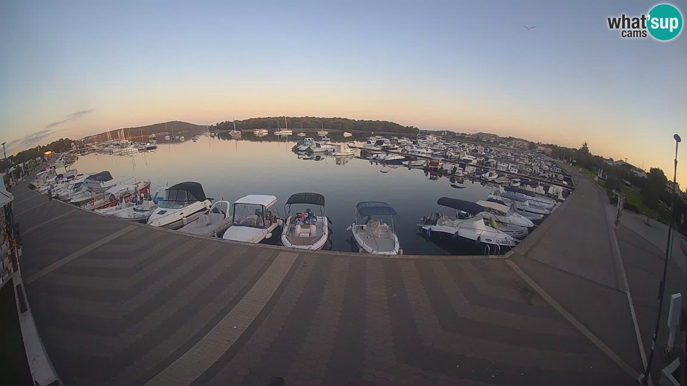Camera en vivo Medulin marina
