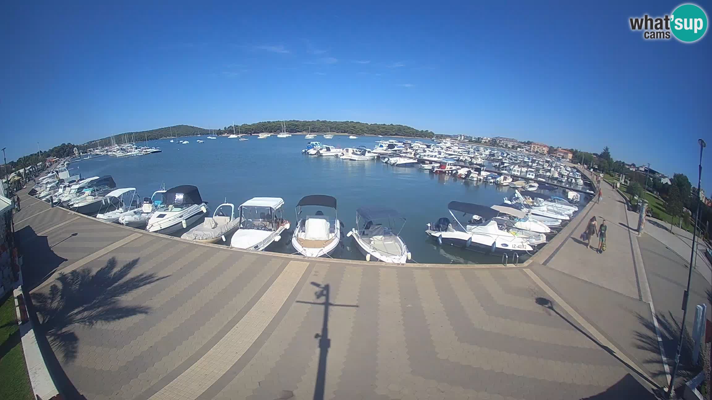 LIVE webcam Medulin marina