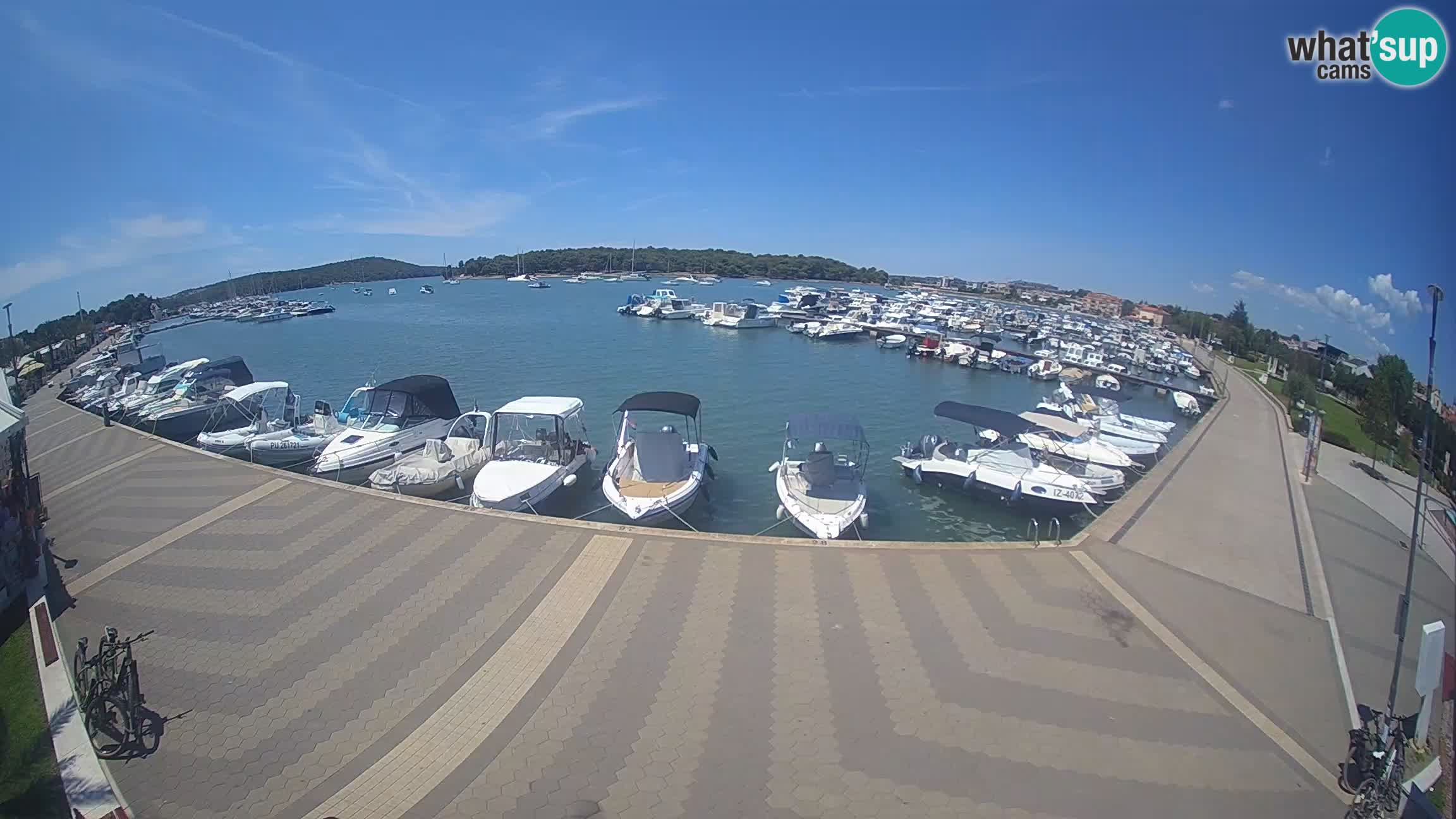 Livecam Medulin marina