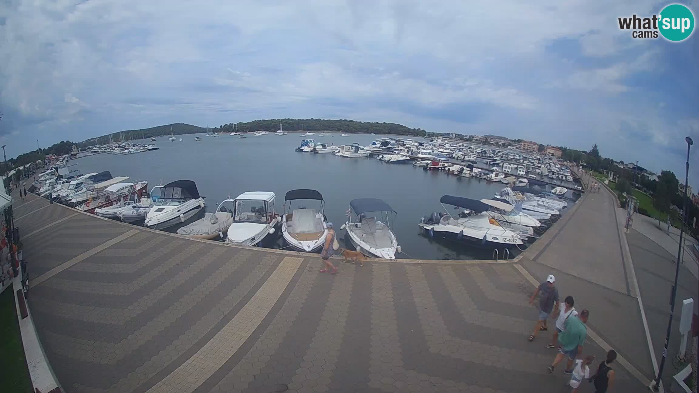 Camera en vivo Medulin marina
