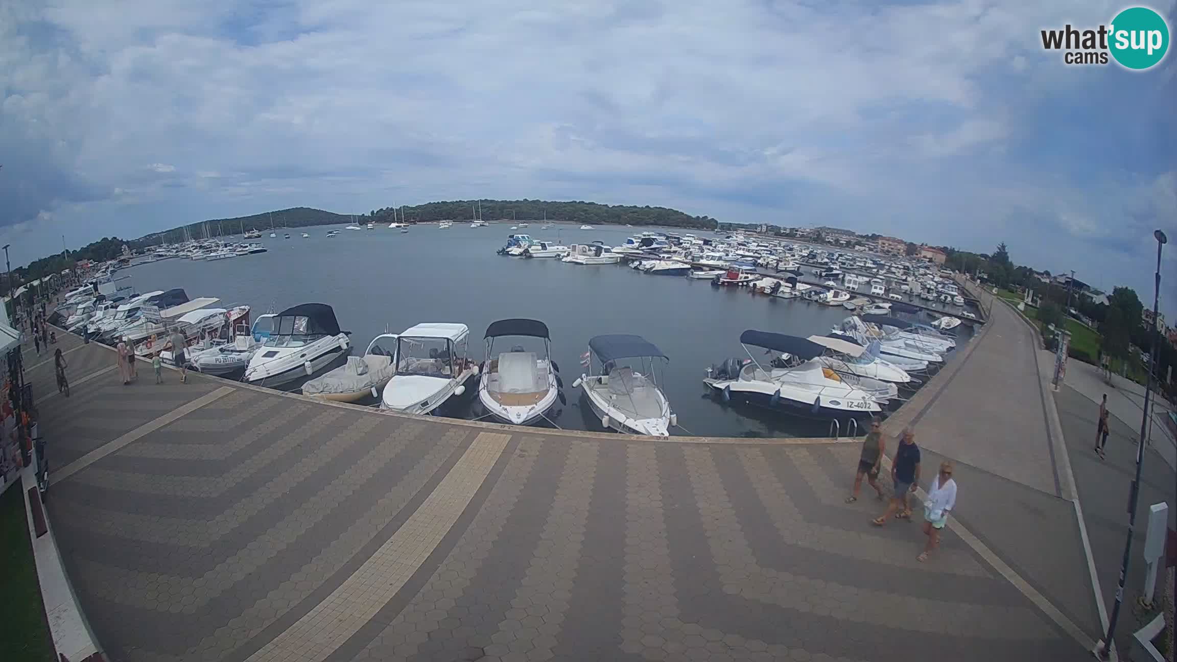 Livecam Medulin marina