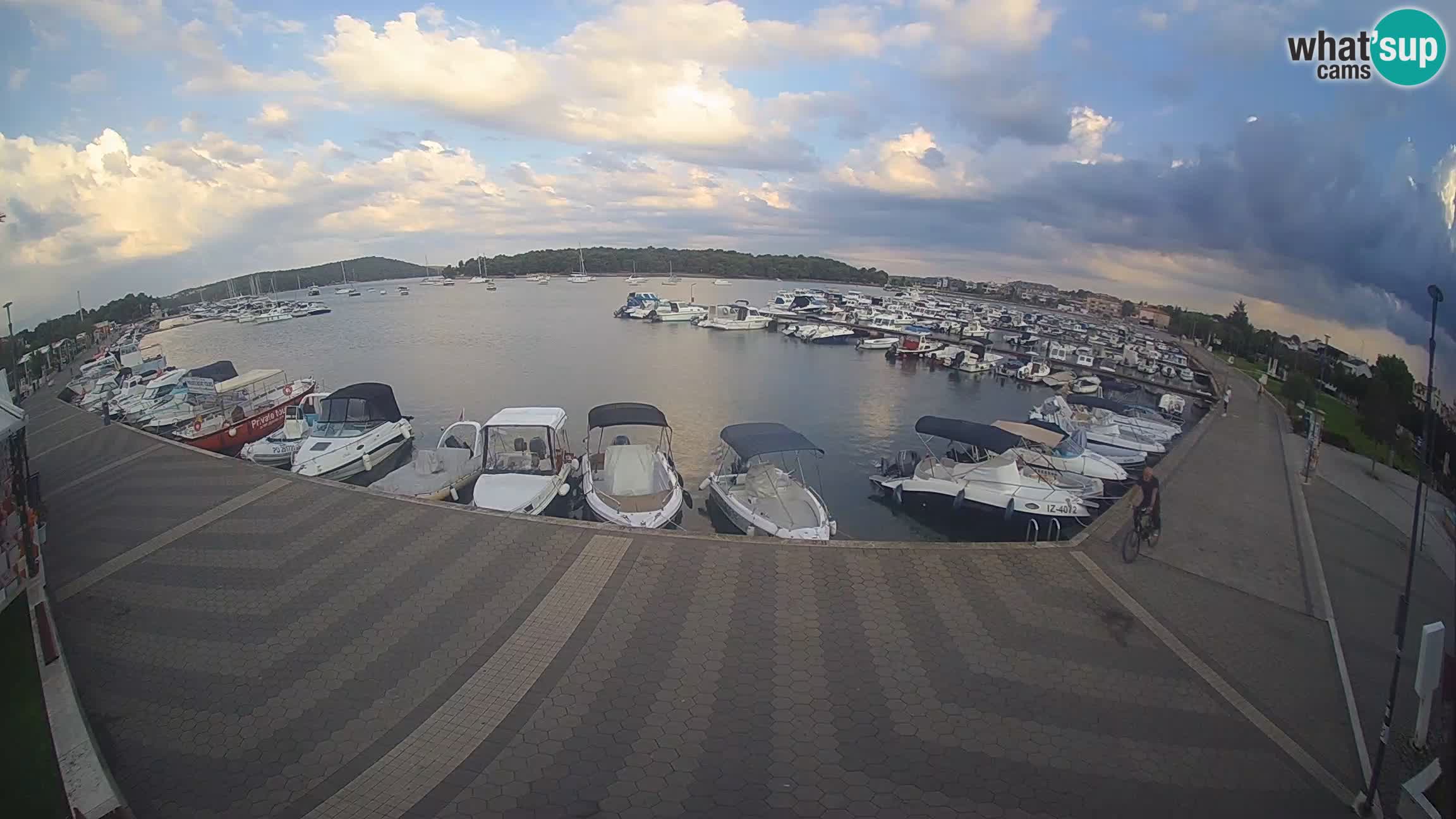 Camera en vivo Medulin marina