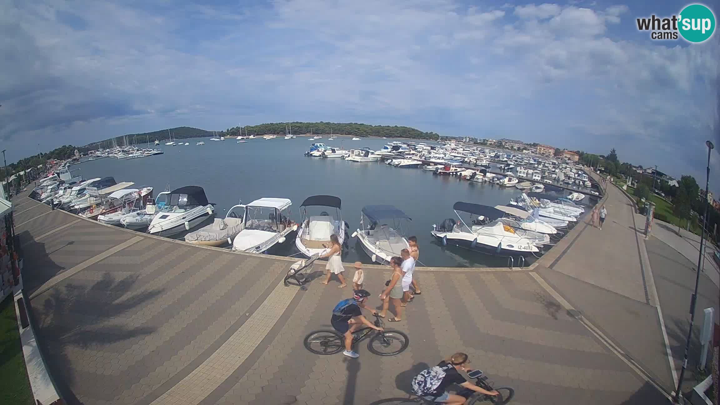 Camera en vivo Medulin marina