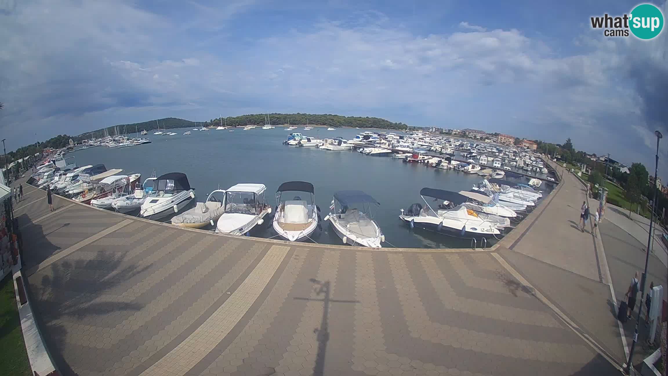 Camera en vivo Medulin marina
