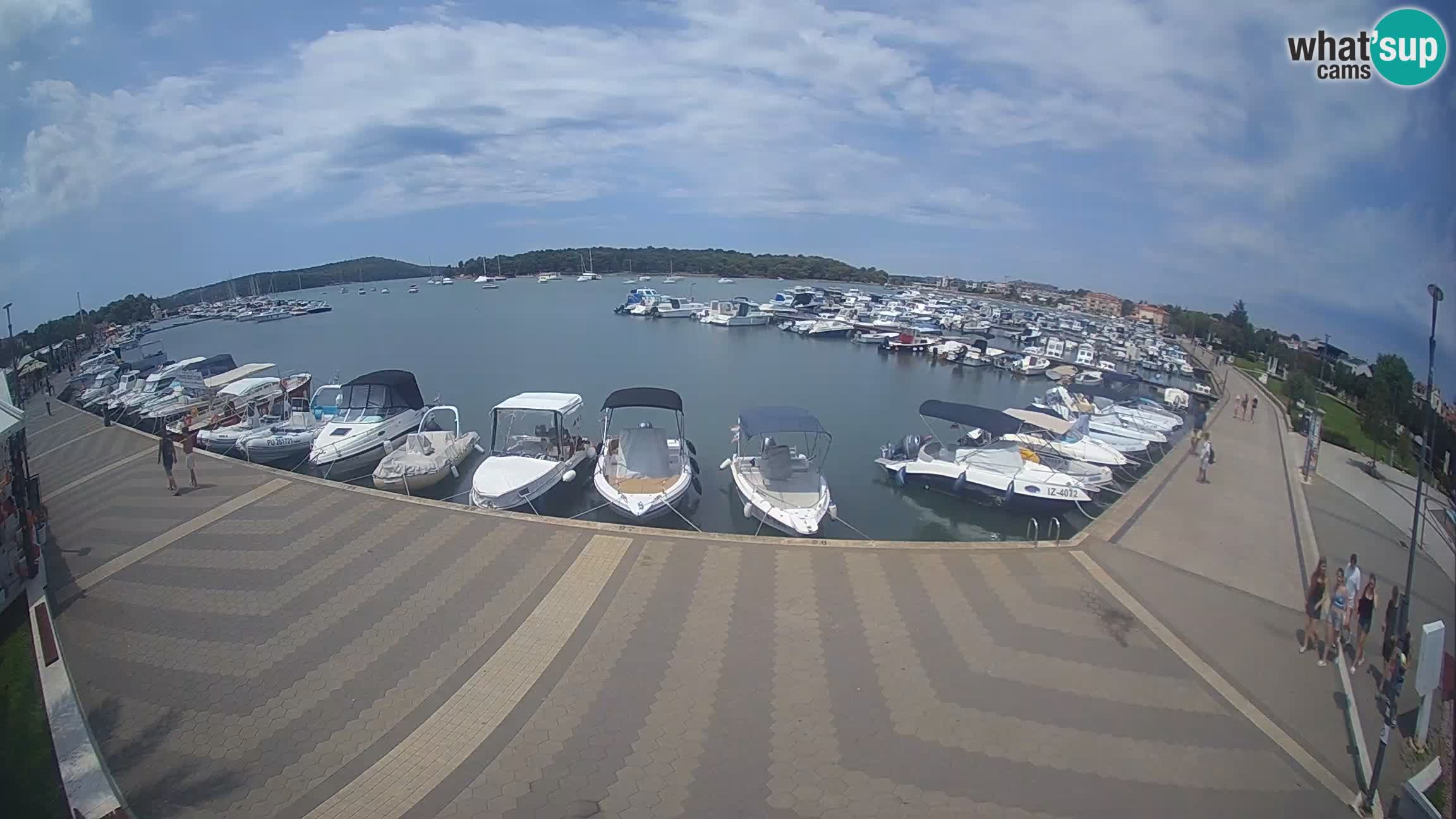 Camera en vivo Medulin marina