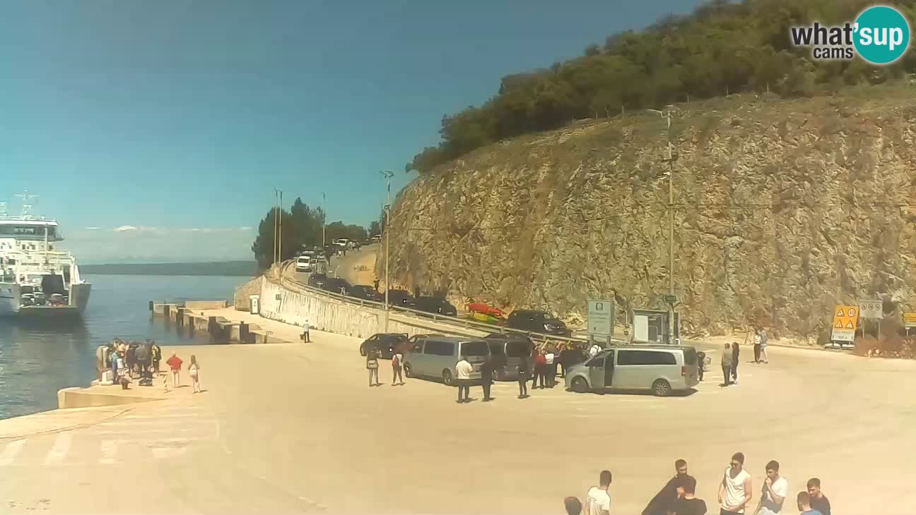 Webkam otok Cres – Trajektna luka  Merag – Krk