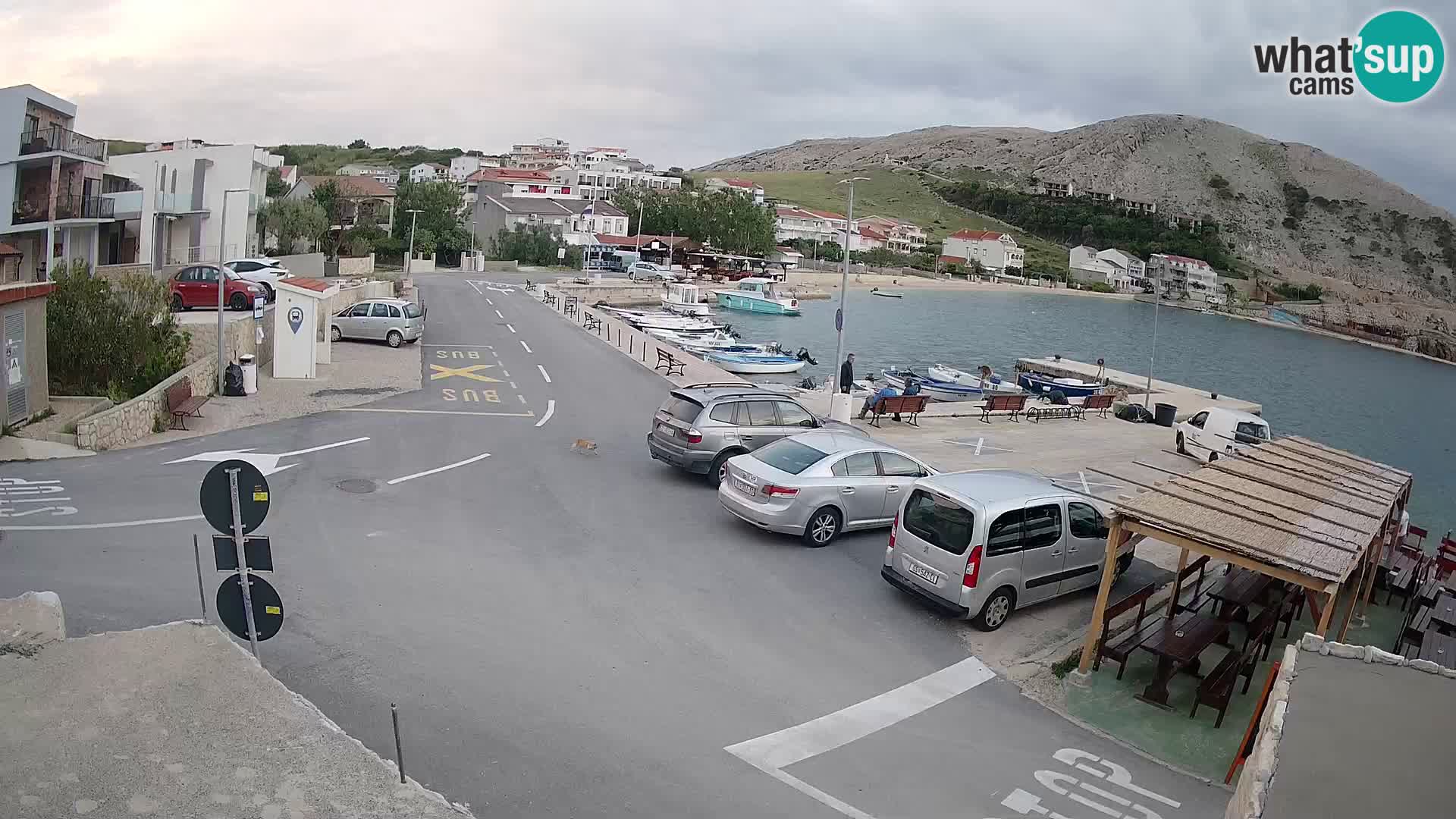 Webcam Metajna – Riva
