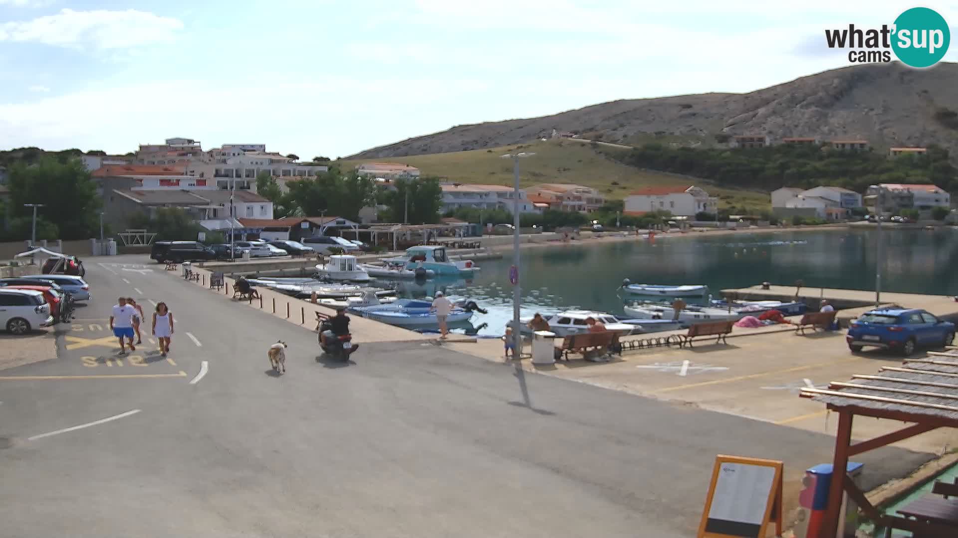 Webcam Metajna – Riva