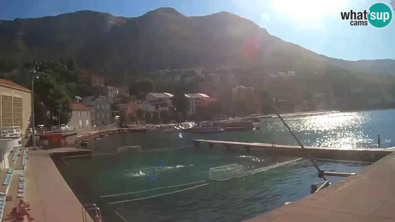 Kamera v živo Mlini – Dubrovnik