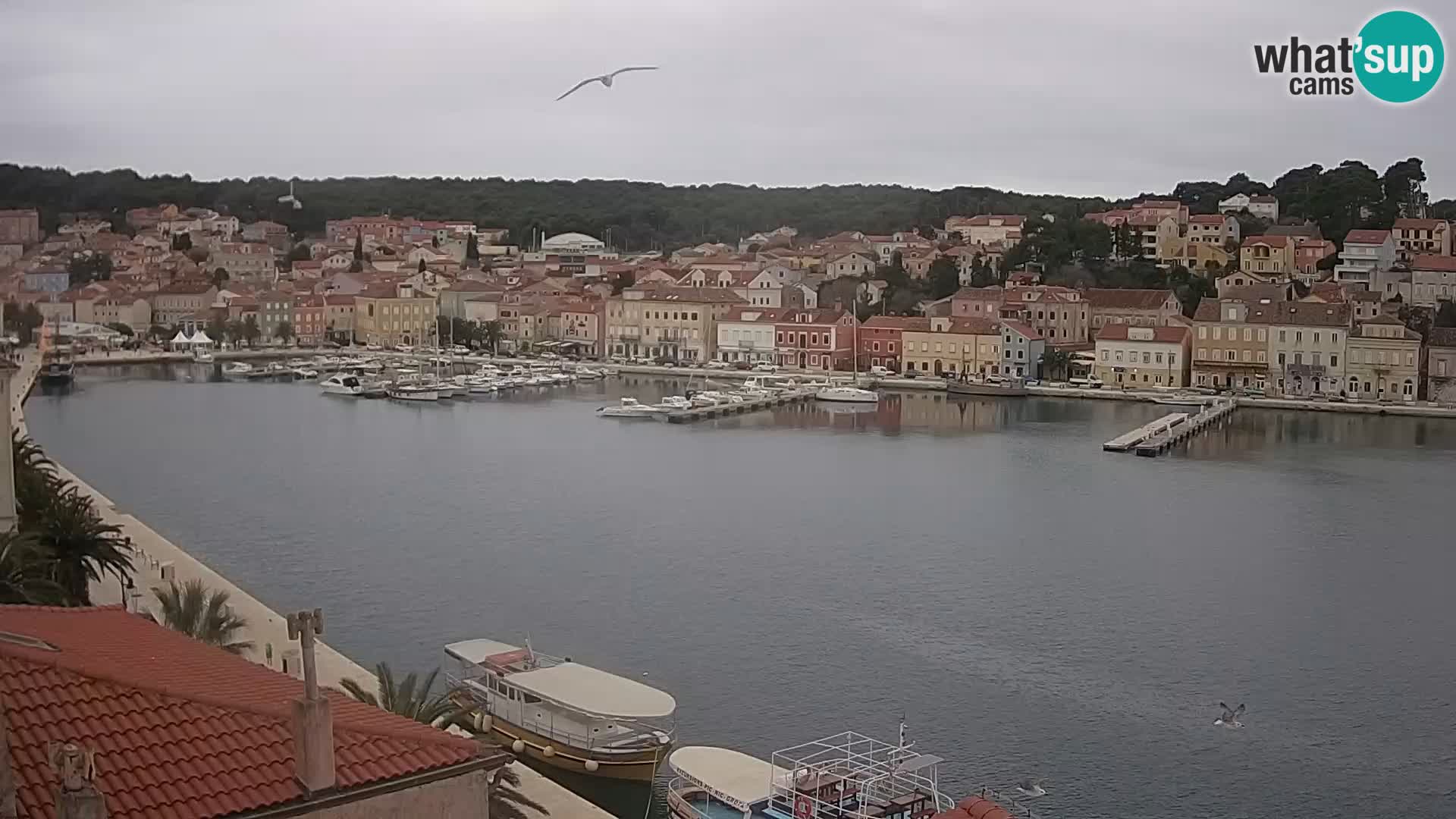 Webcam Live Mali Lošinj – Riva Lošinjskih kapetana