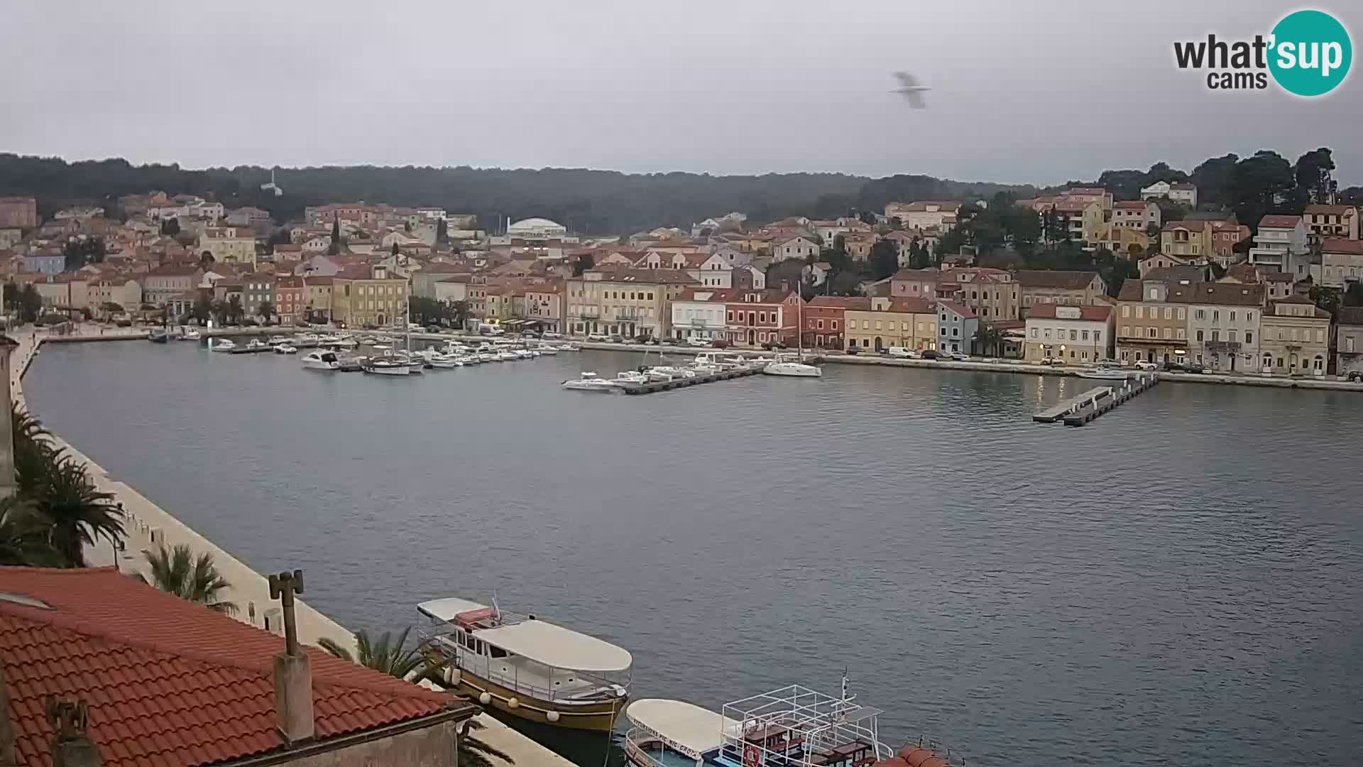 Webcam Lošinj –  European Coastal Airlines