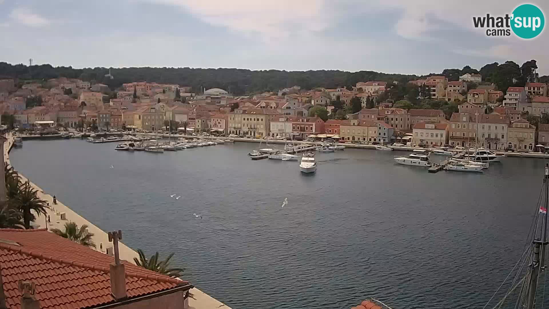 Webcam Lošinj –  European Coastal Airlines