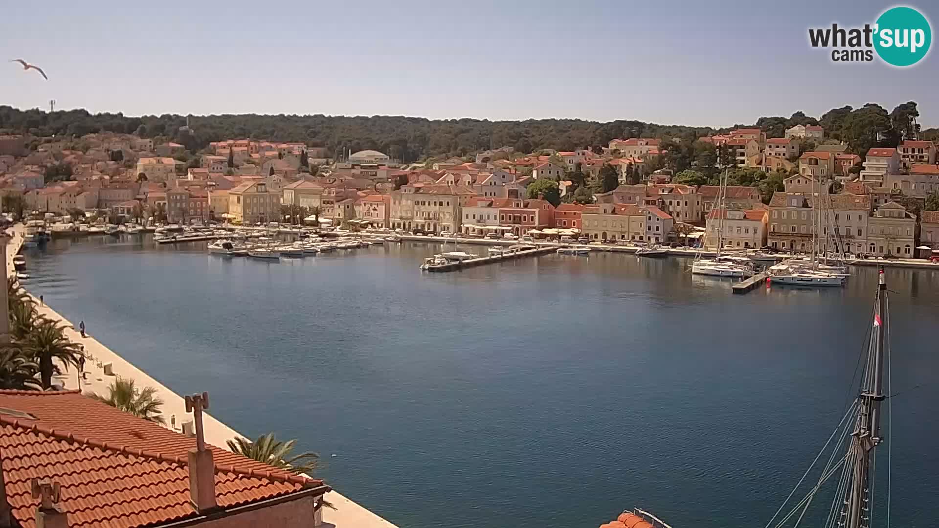 Webcam – Mali Lošinj – Riva Lošinjskih kapetana