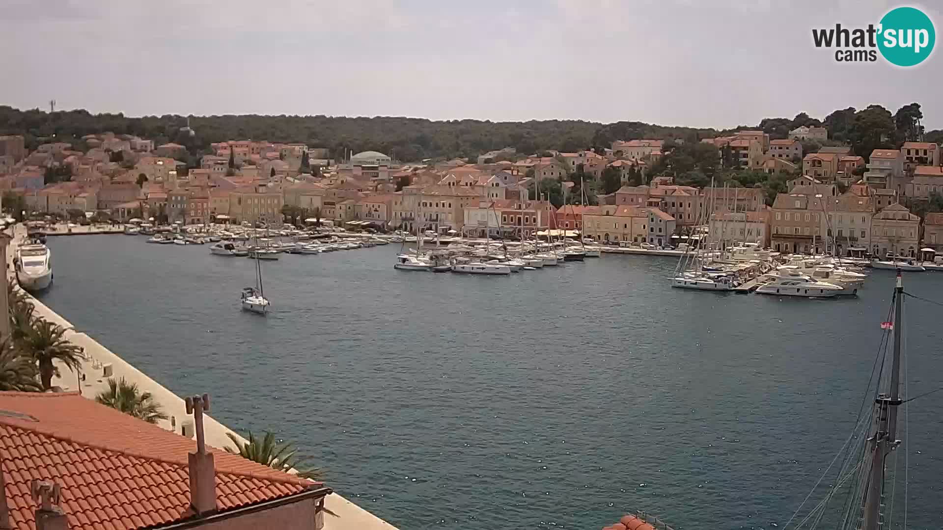 Webcam live – Lussinpiccolo – Riva dei capitani di Lussinpiccolo