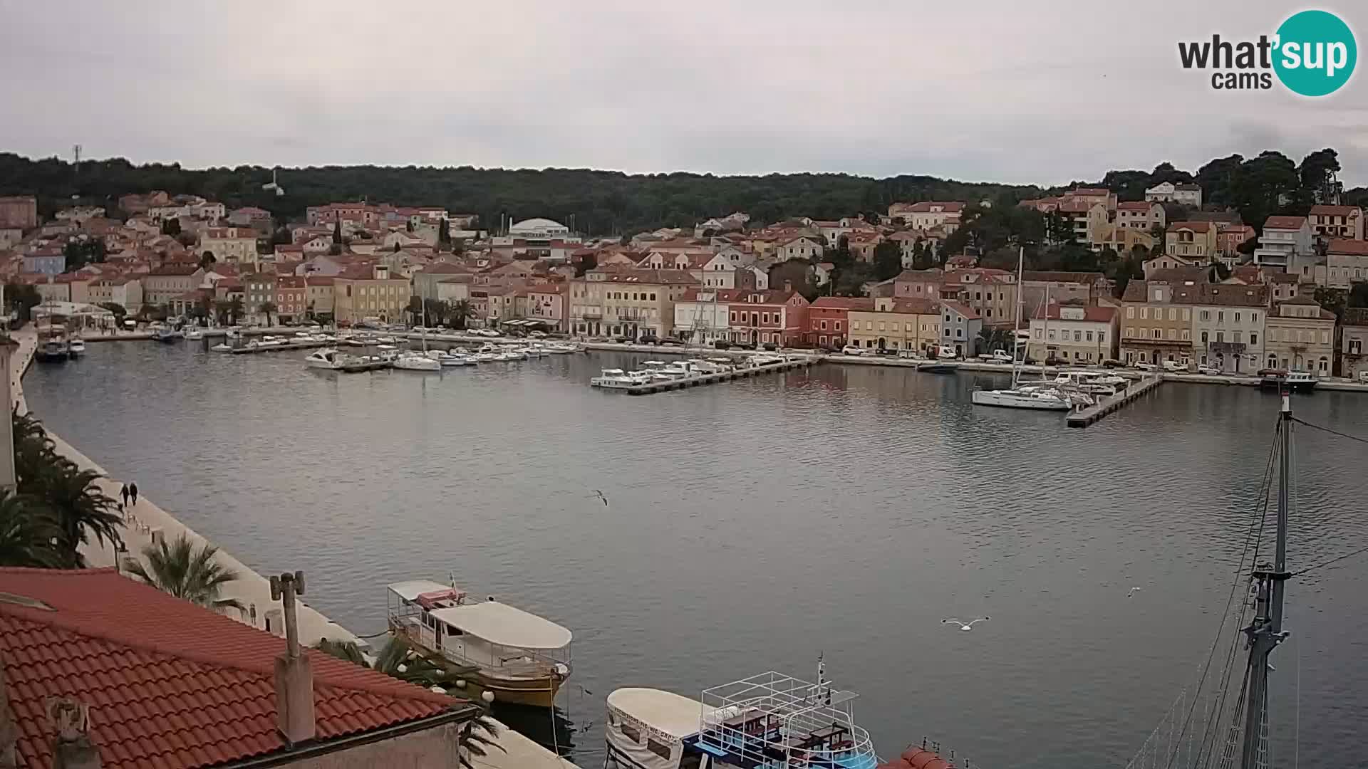 Webcam Lošinj –  European Coastal Airlines