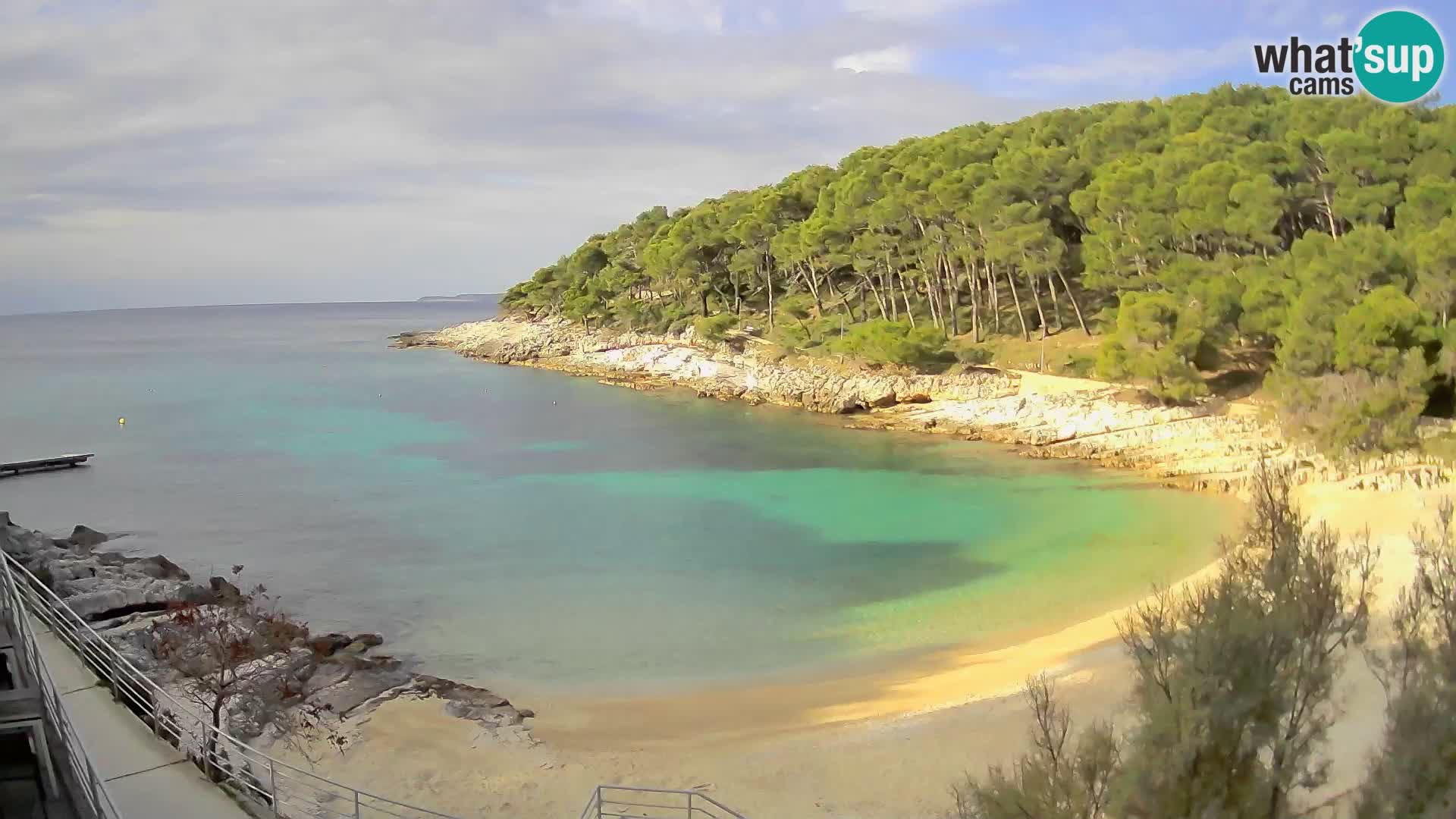 Webcam Mali Lošinj – spiaggia Sunčana uvala – Veli Žal