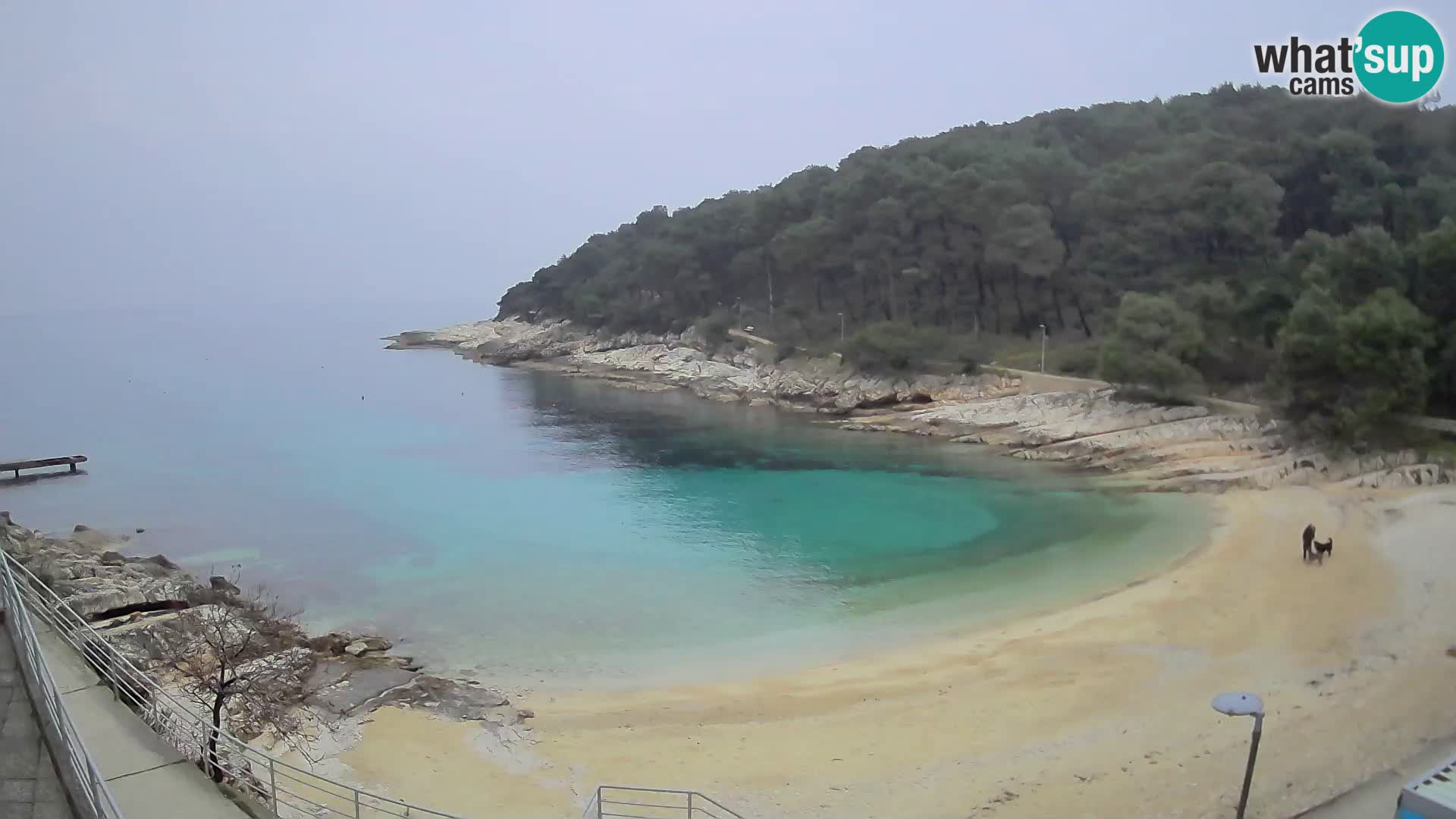 Spletna Kamera Mali Lošinj – plaža Sunčana uvala – Veli Žal